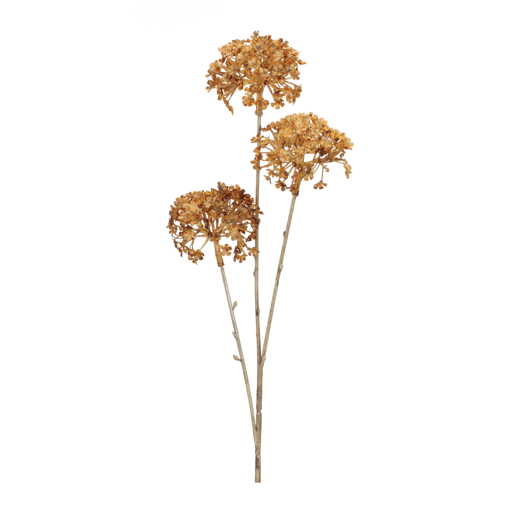 Golden Hydrangea Stem (Set of 12) 28