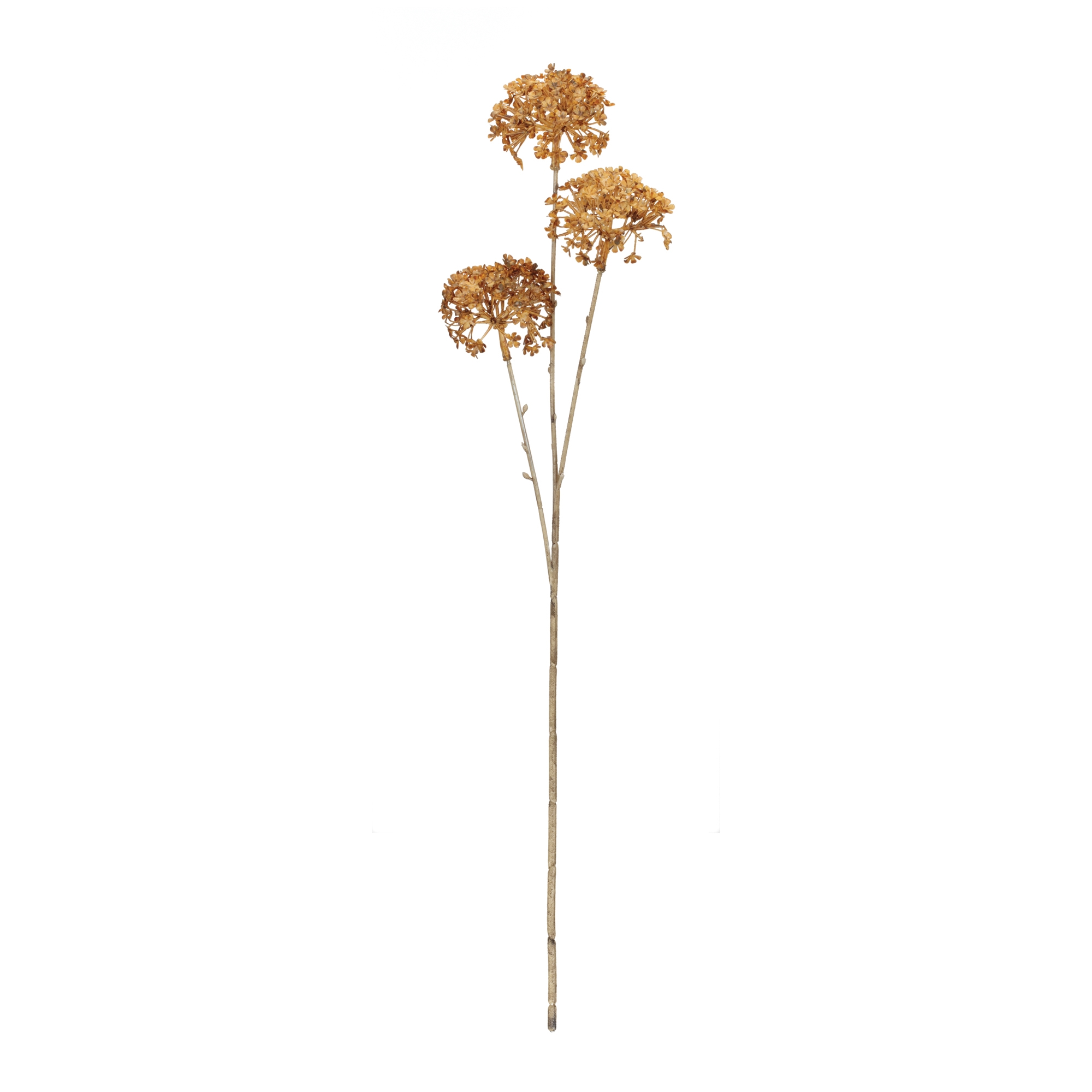 Golden Hydrangea Stem (Set of 12) 28