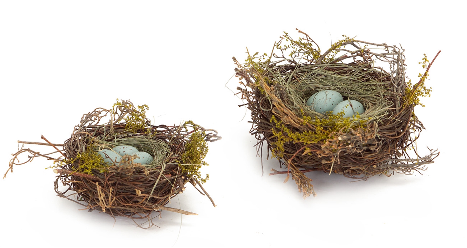 Robin's Nest w/Eggs (Set of 12) 5