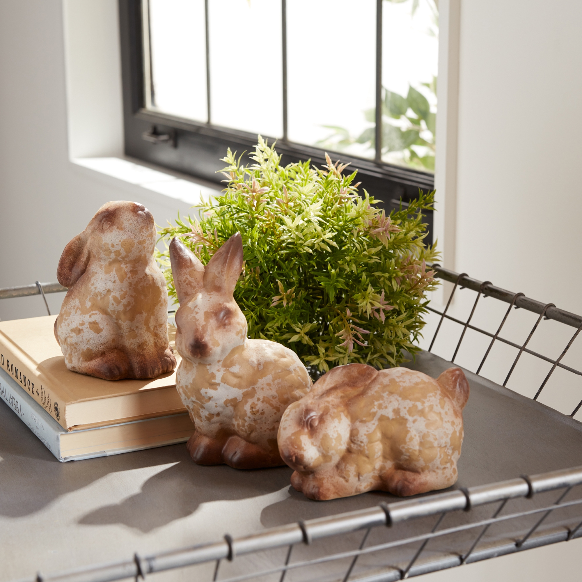 Rabbit (Set of 6) 9