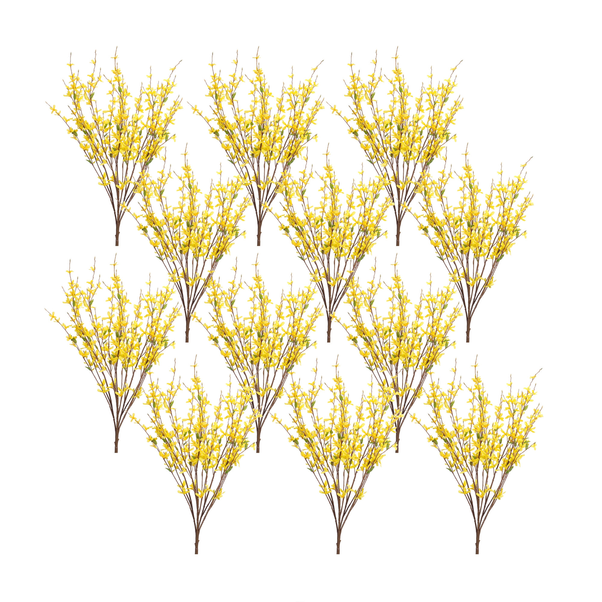 Forsythia Bush (Set of 12) 31