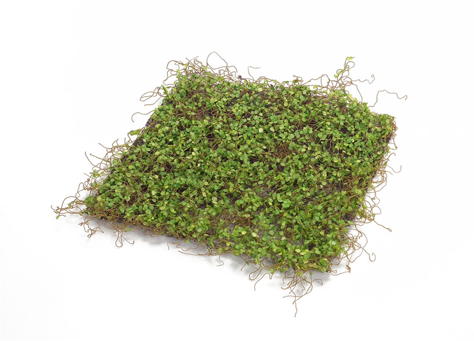 Moss Mat (Setof 12) 12
