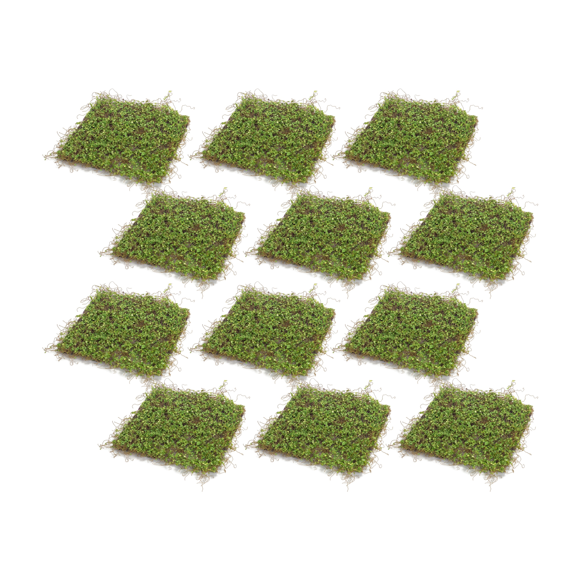 Moss Mat (Setof 12) 12