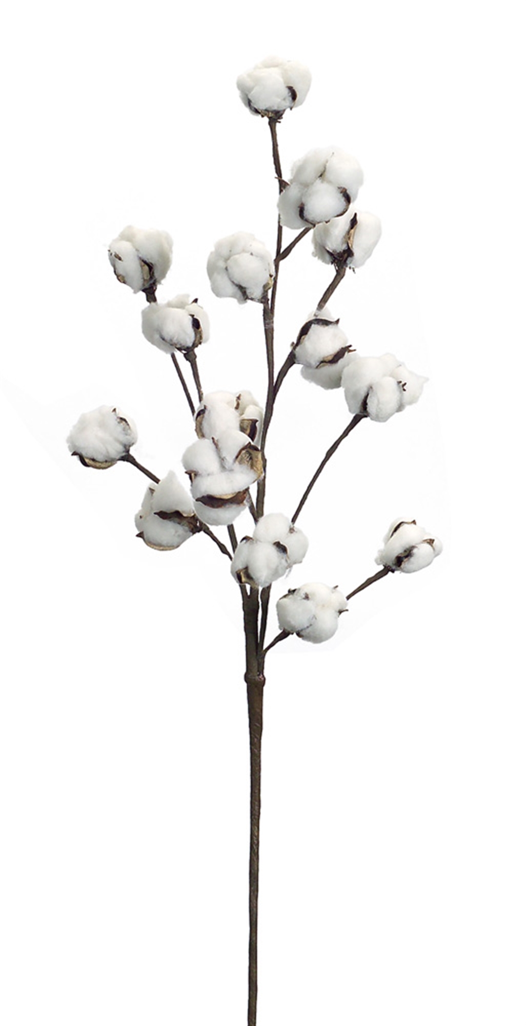 Cotton Spray (Set of 6) 30