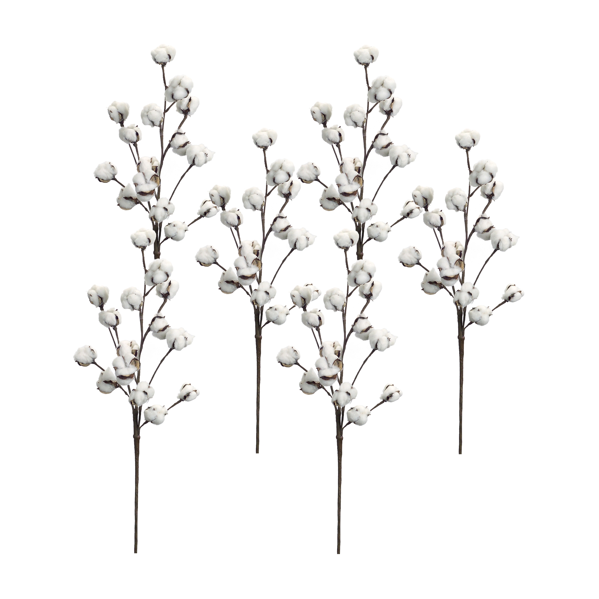 Cotton Spray (Set of 6) 30