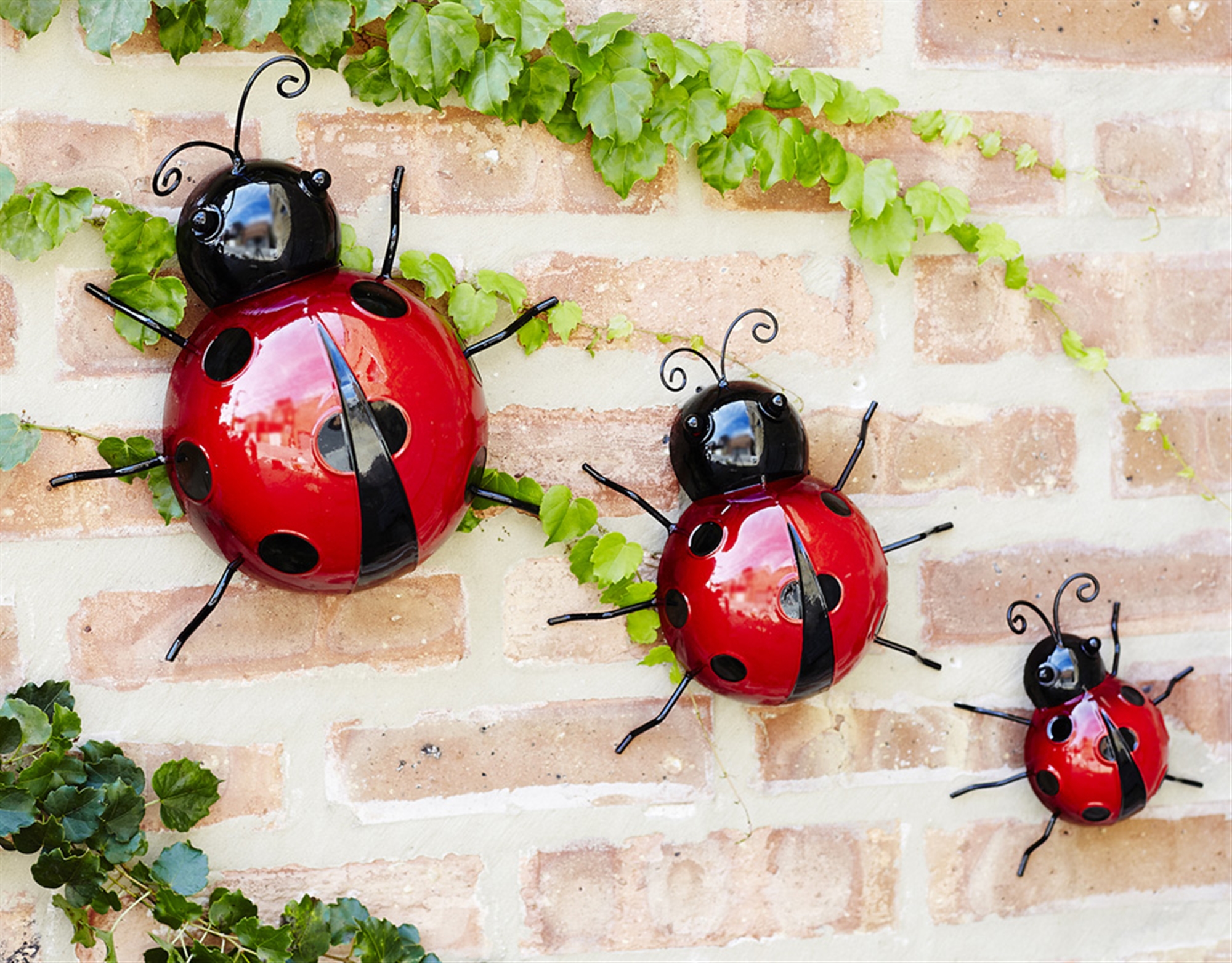 Wall Mountable Ladybugs (Set of 6) 3.75