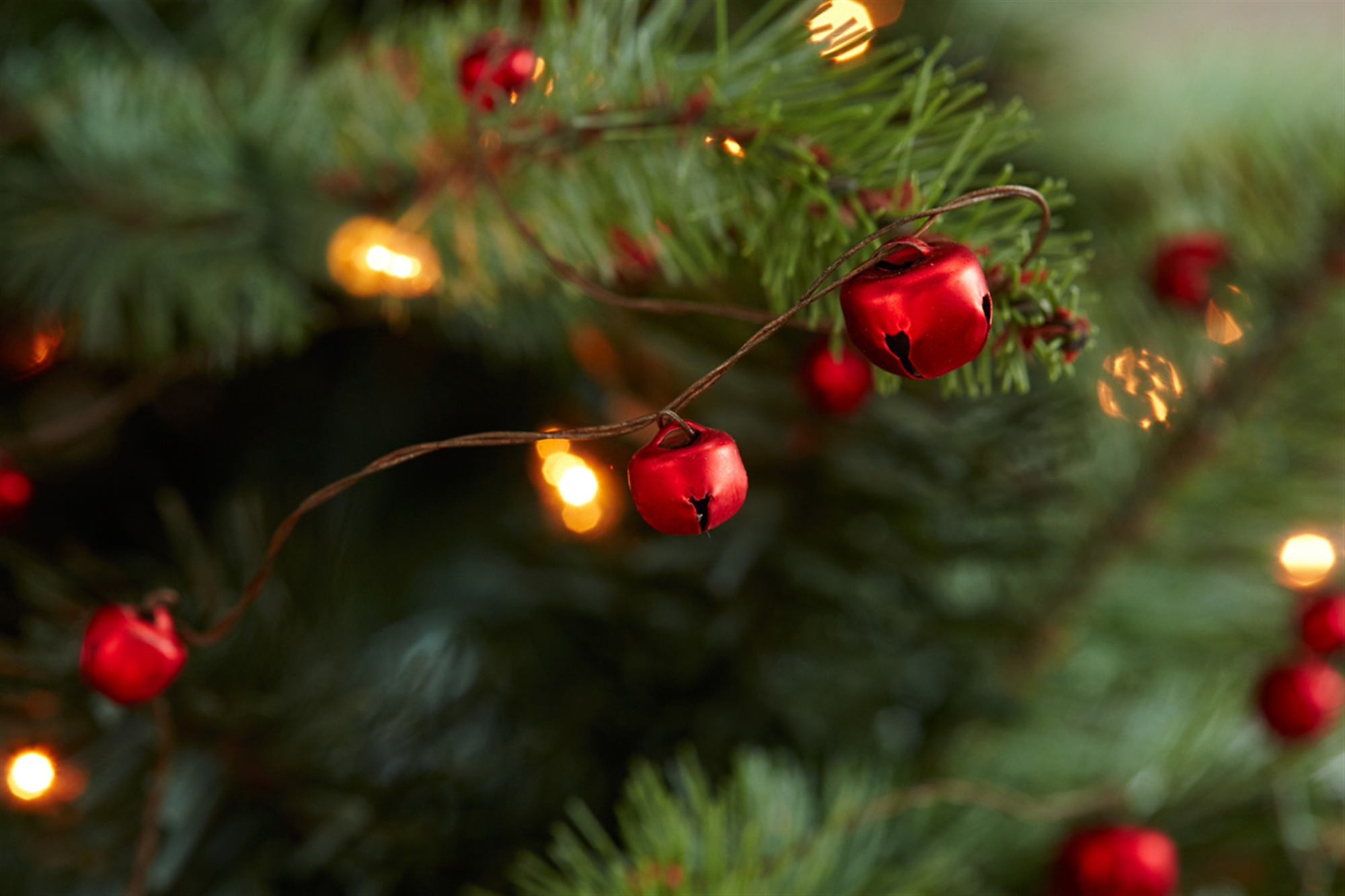 Sleigh Bell Garland (Set of 12) 10'L Metal