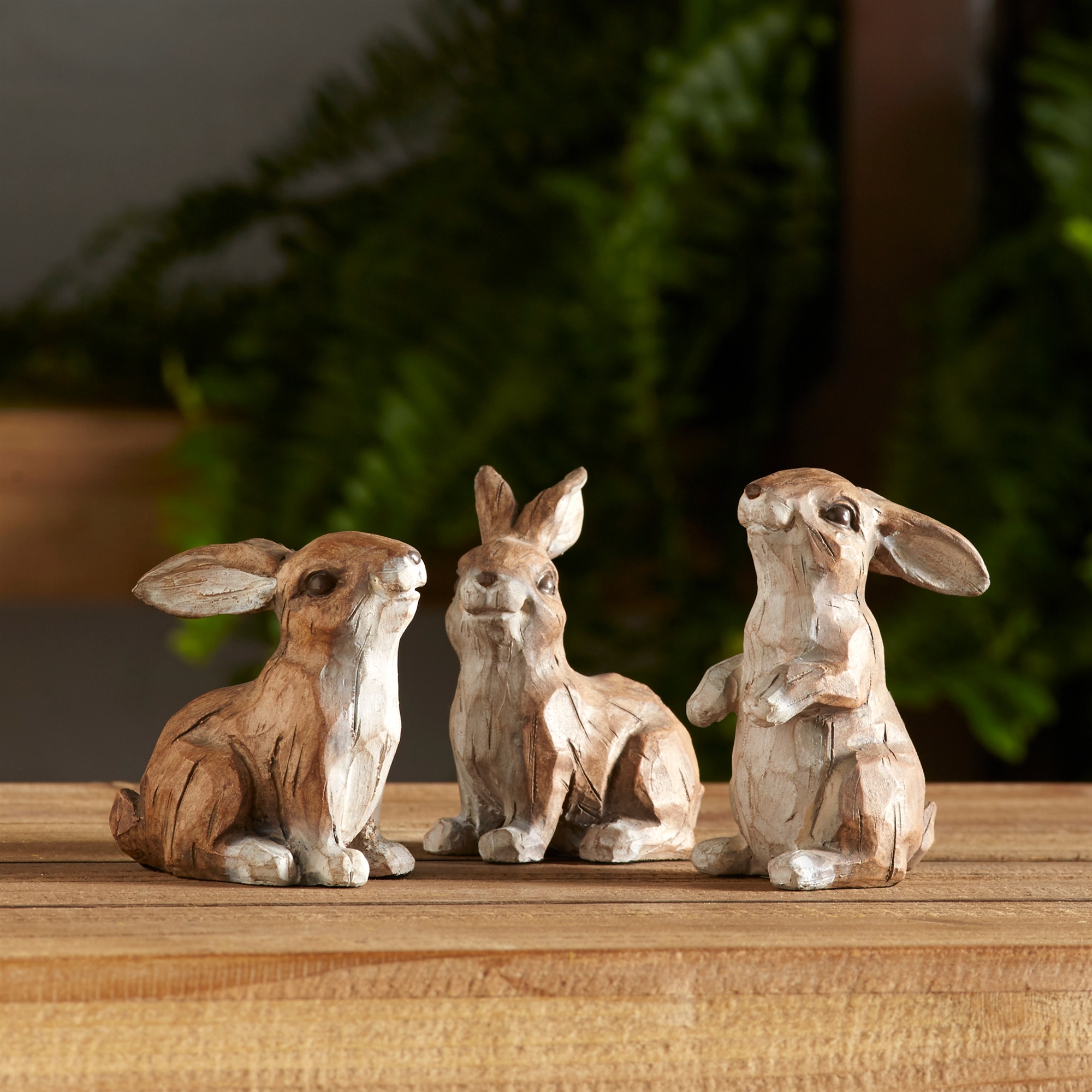 Rabbit (Set of 6) 3