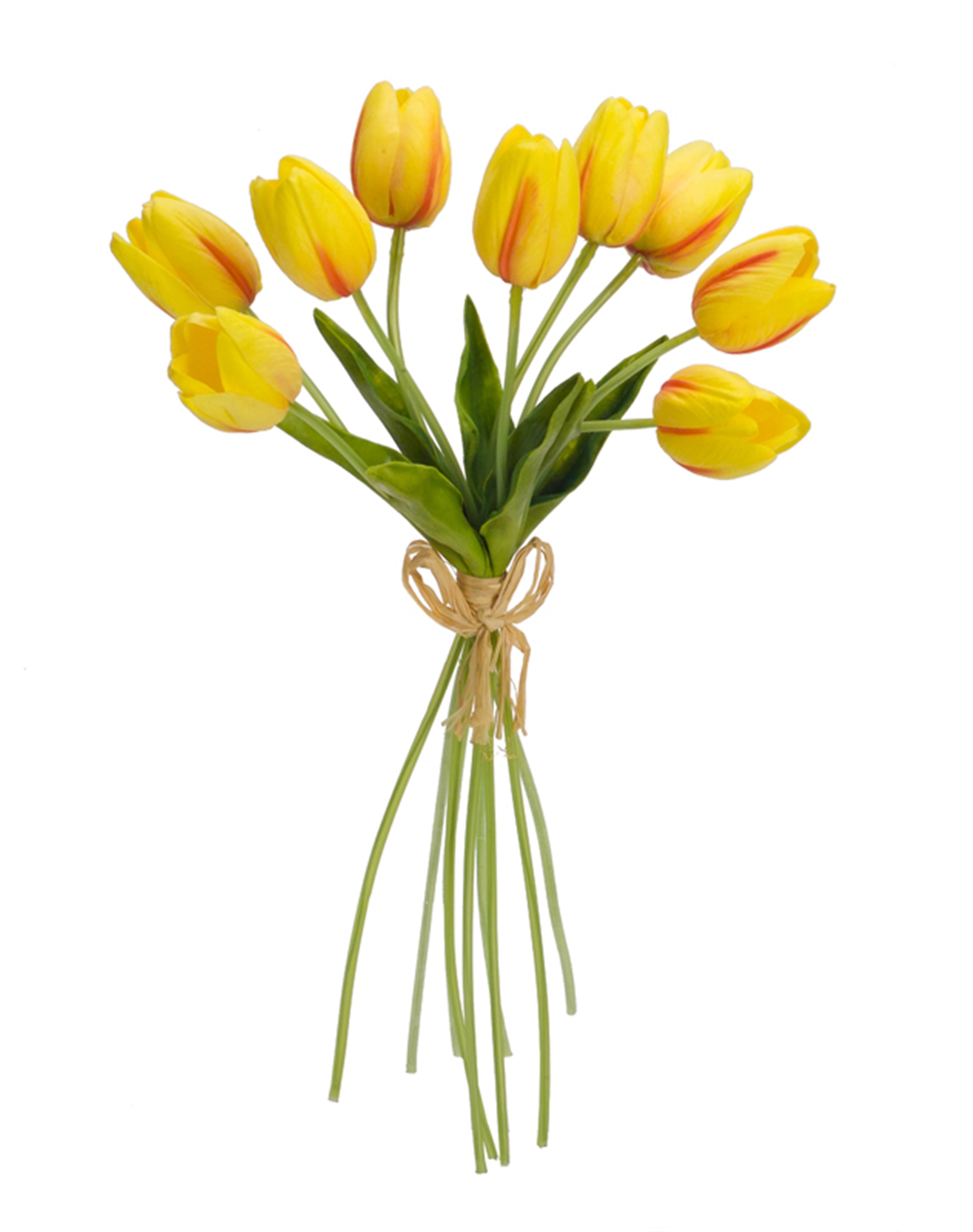 Tulip Bundle (Set of 6) 15