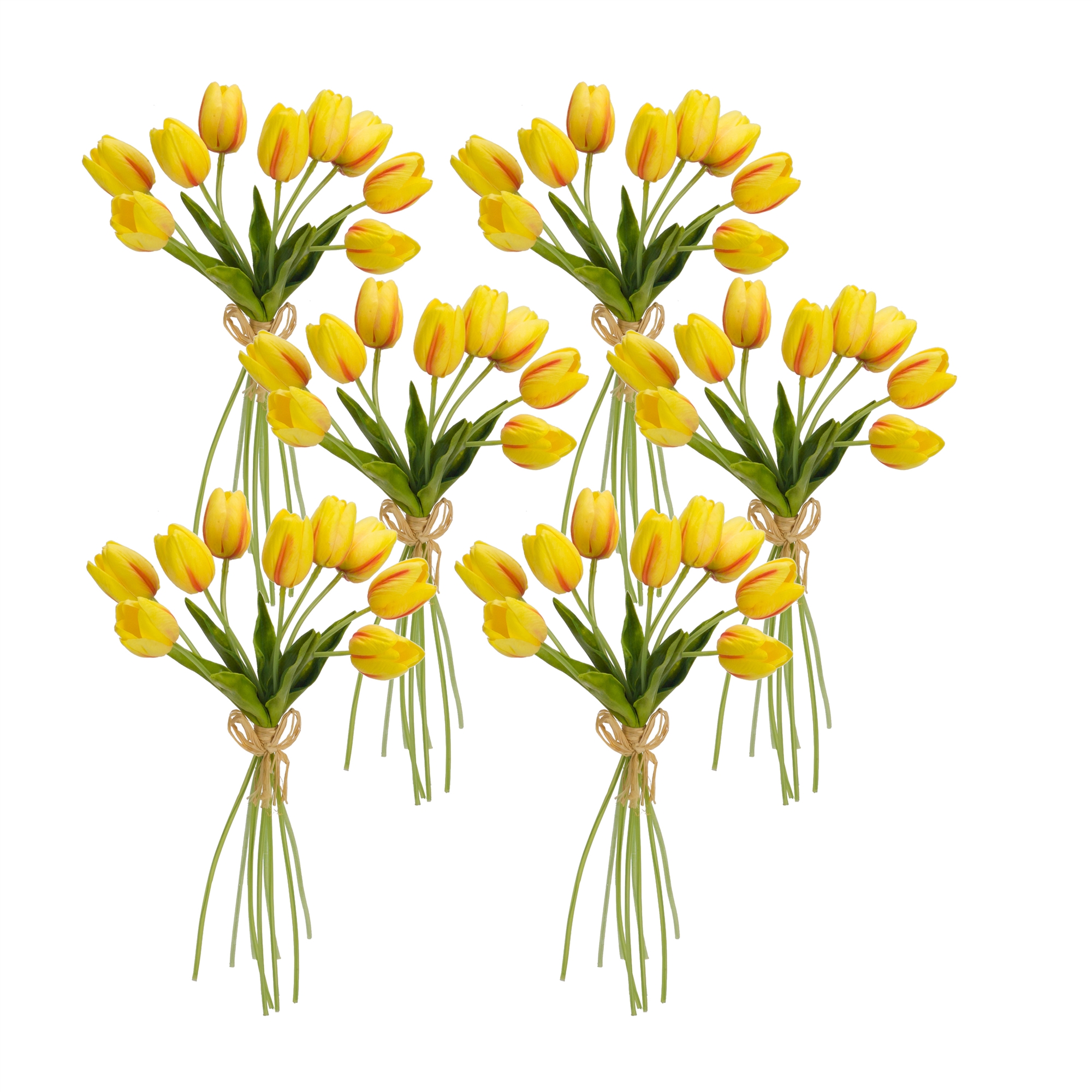Tulip Bundle (Set of 6) 15