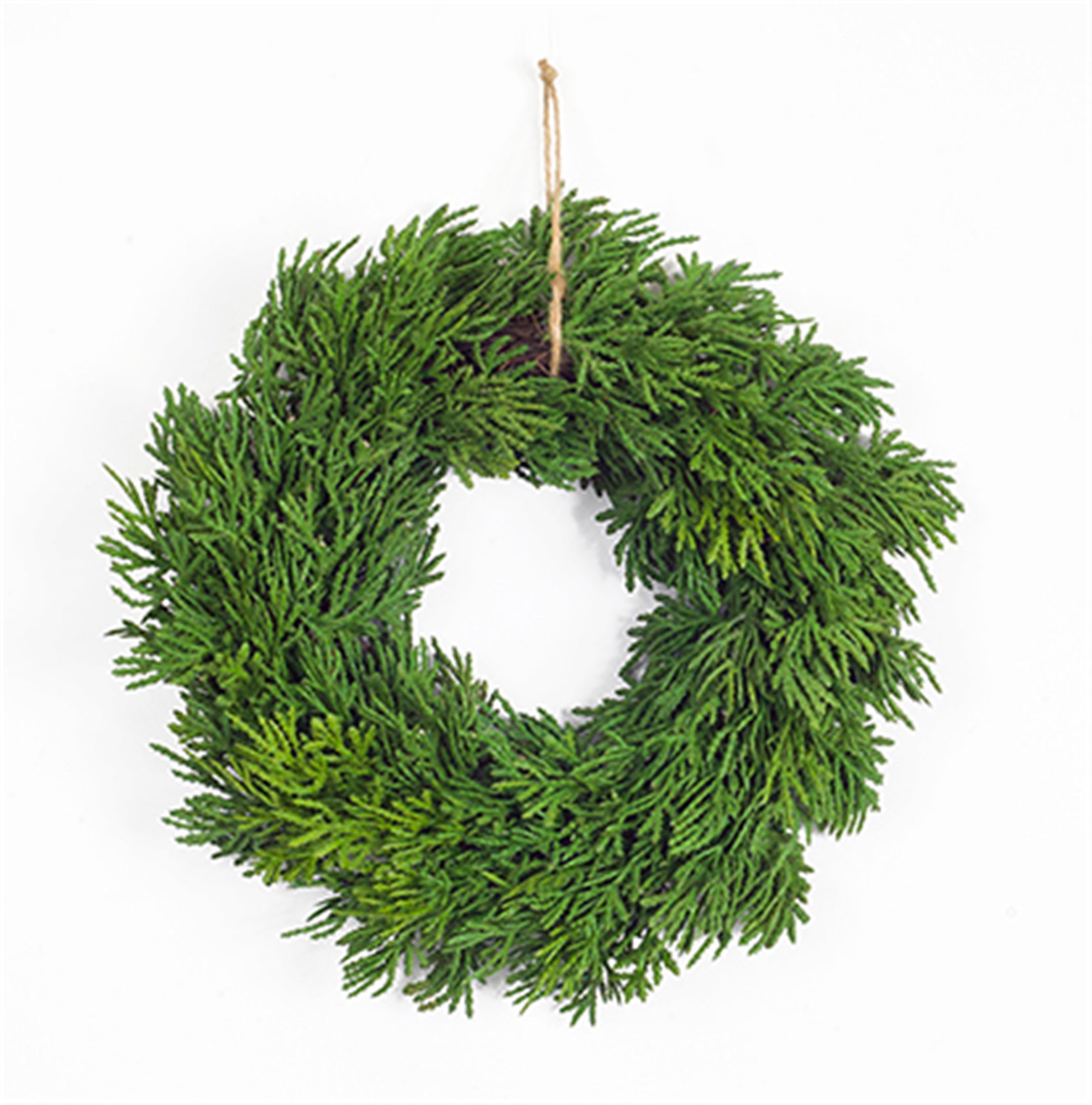 Pine Wreath (Set of 6) 11.5