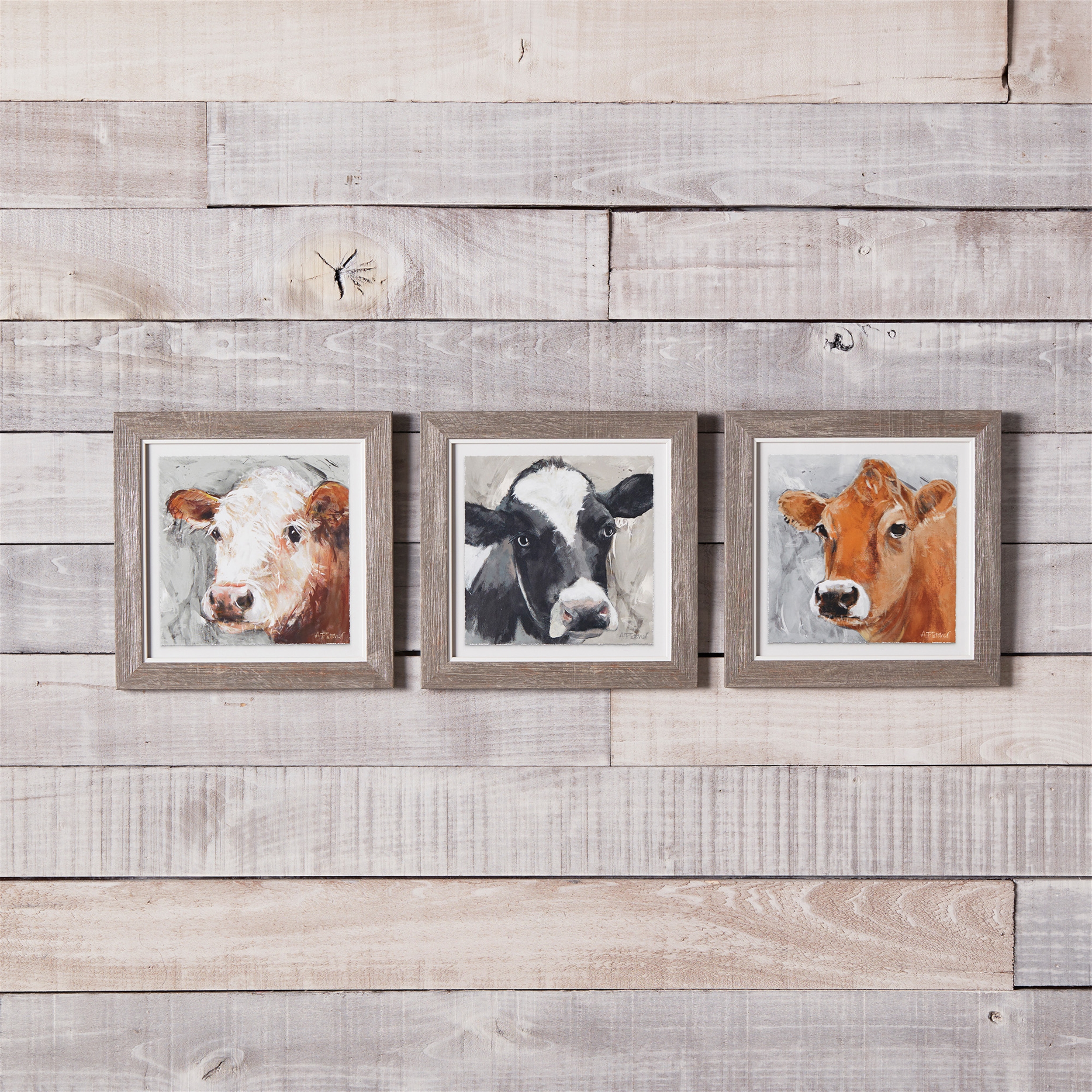 Framed Cow Print (Set of 3) 10