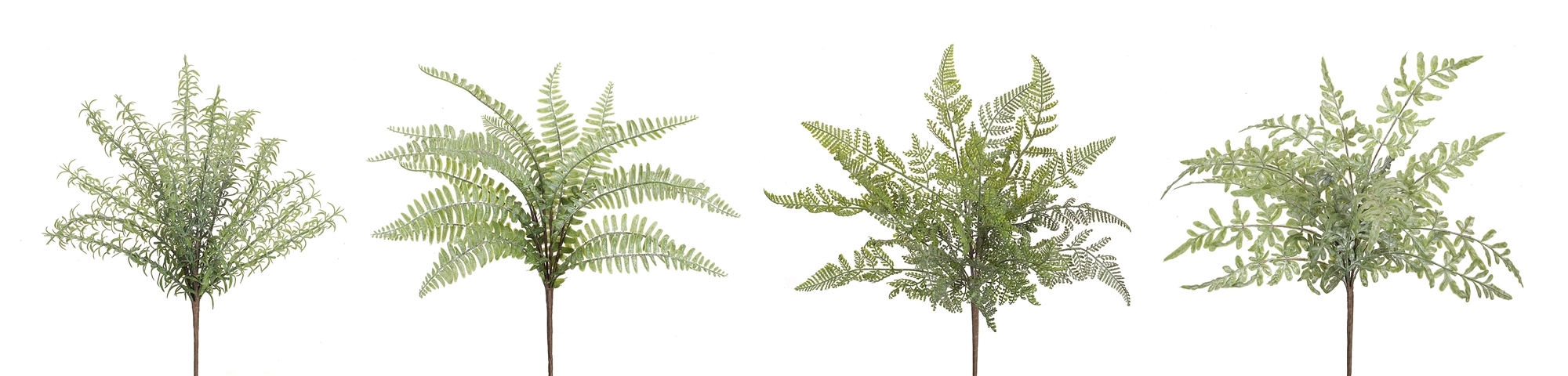 Fern Bush (Set of 12) 16