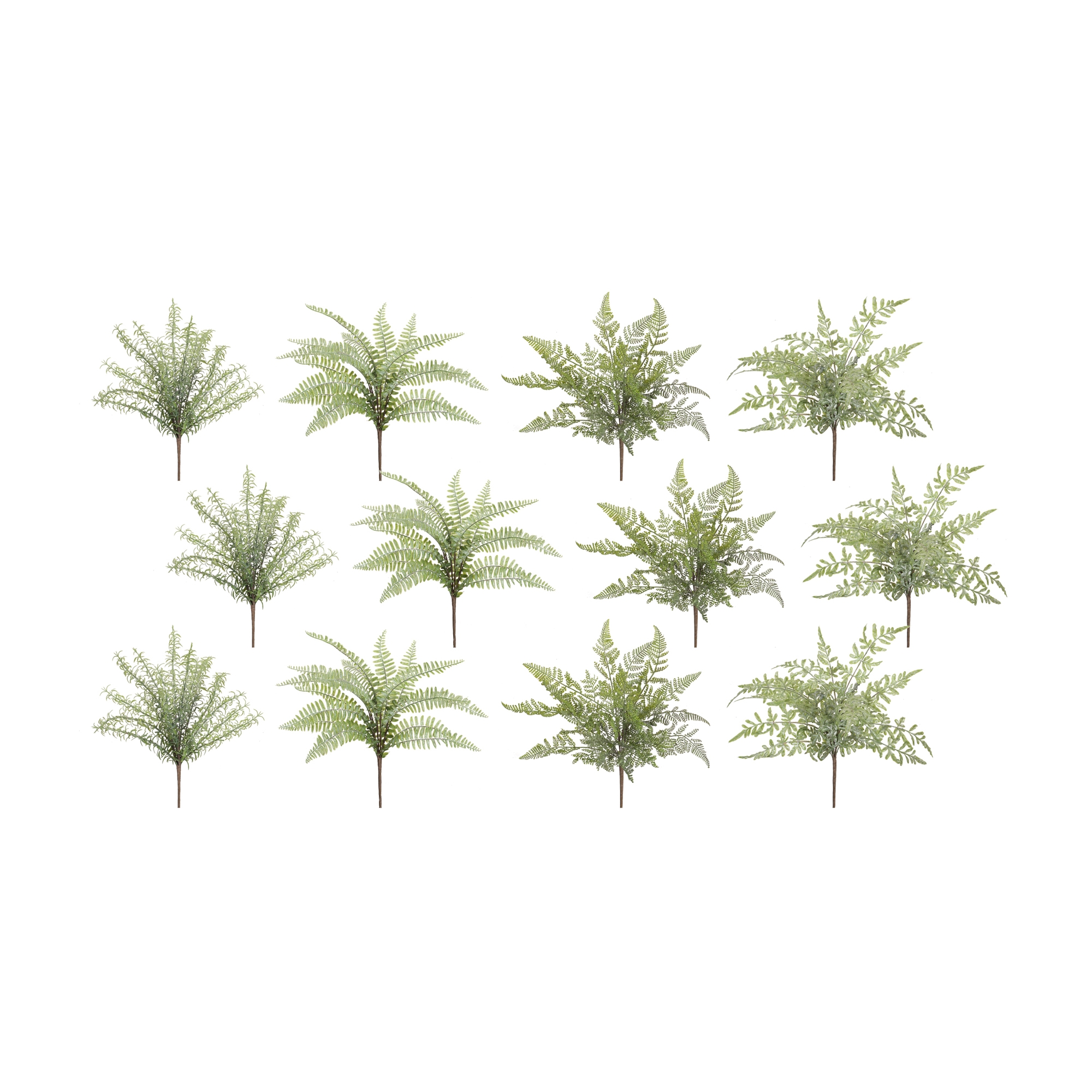 Fern Bush (Set of 12) 16