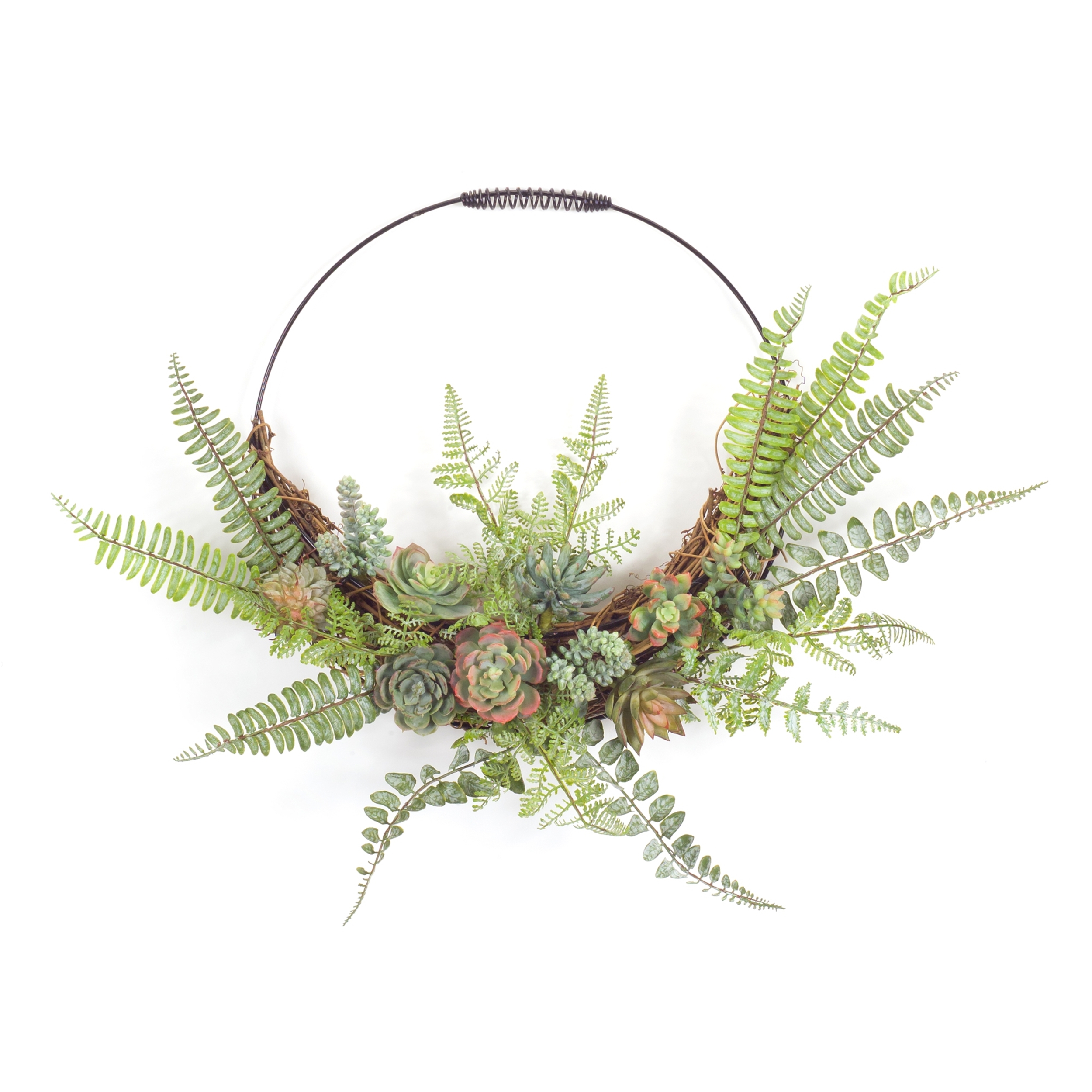 Fern and Succulent Wall Decor 24.5