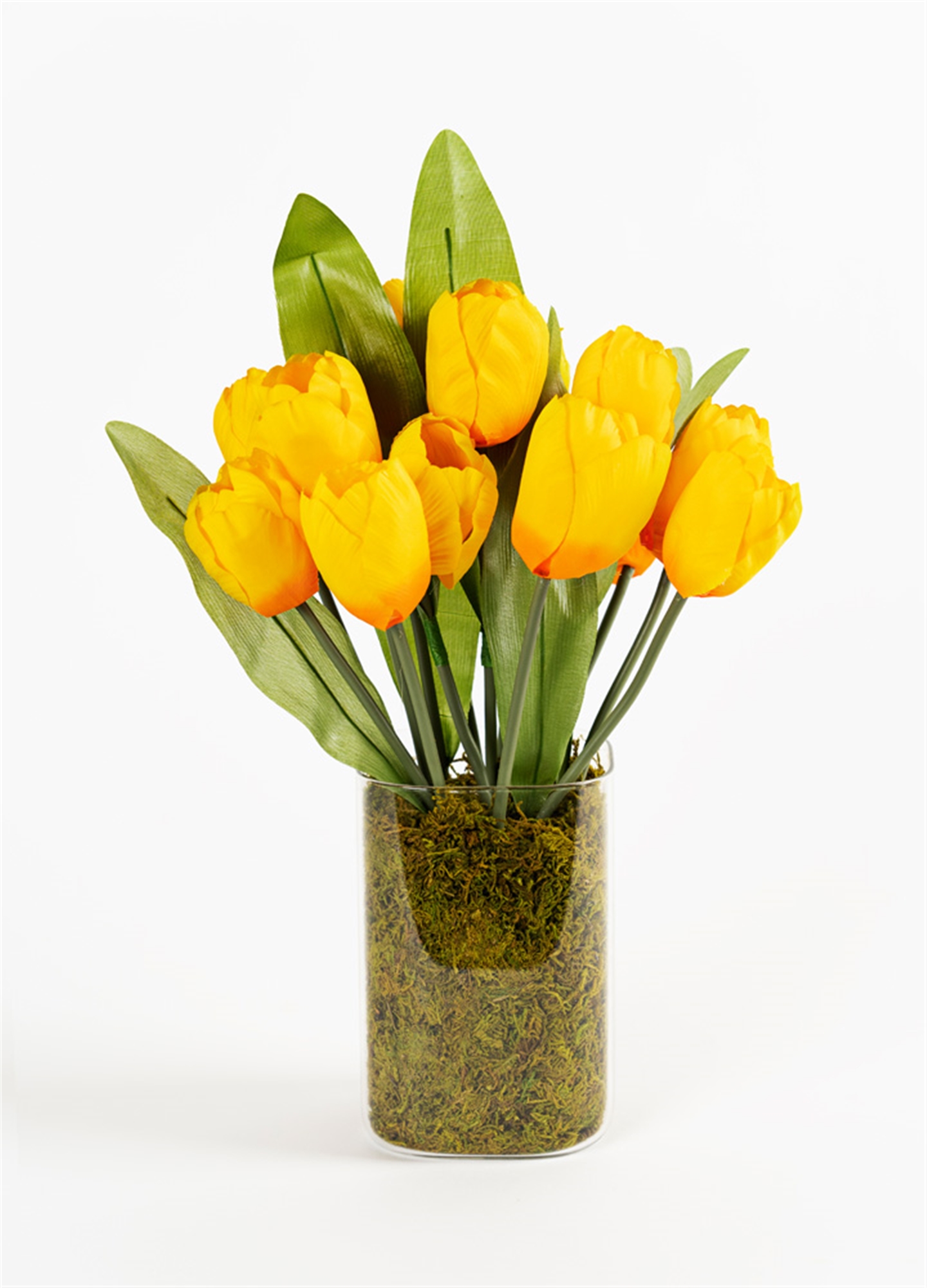 Tulip Floral Vase (Set of 2) 16