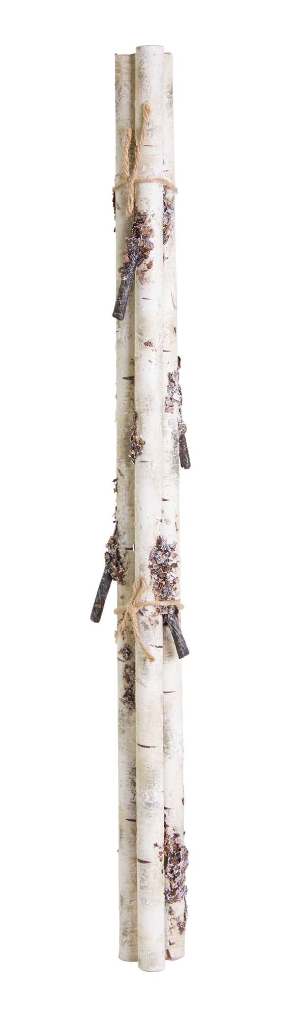 Birch Branch Bundle (Set of 12) 26.75