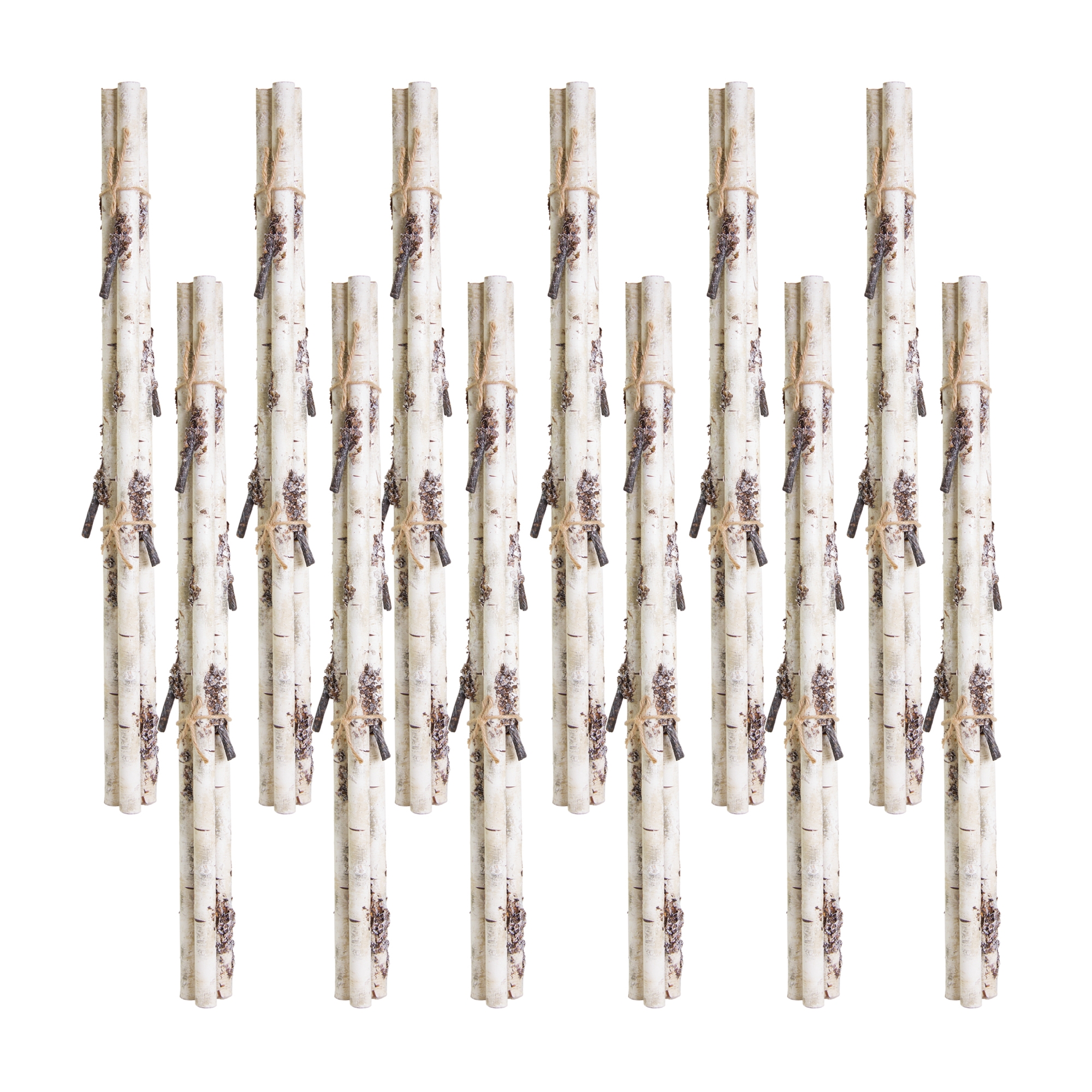 Birch Branch Bundle (Set of 12) 26.75