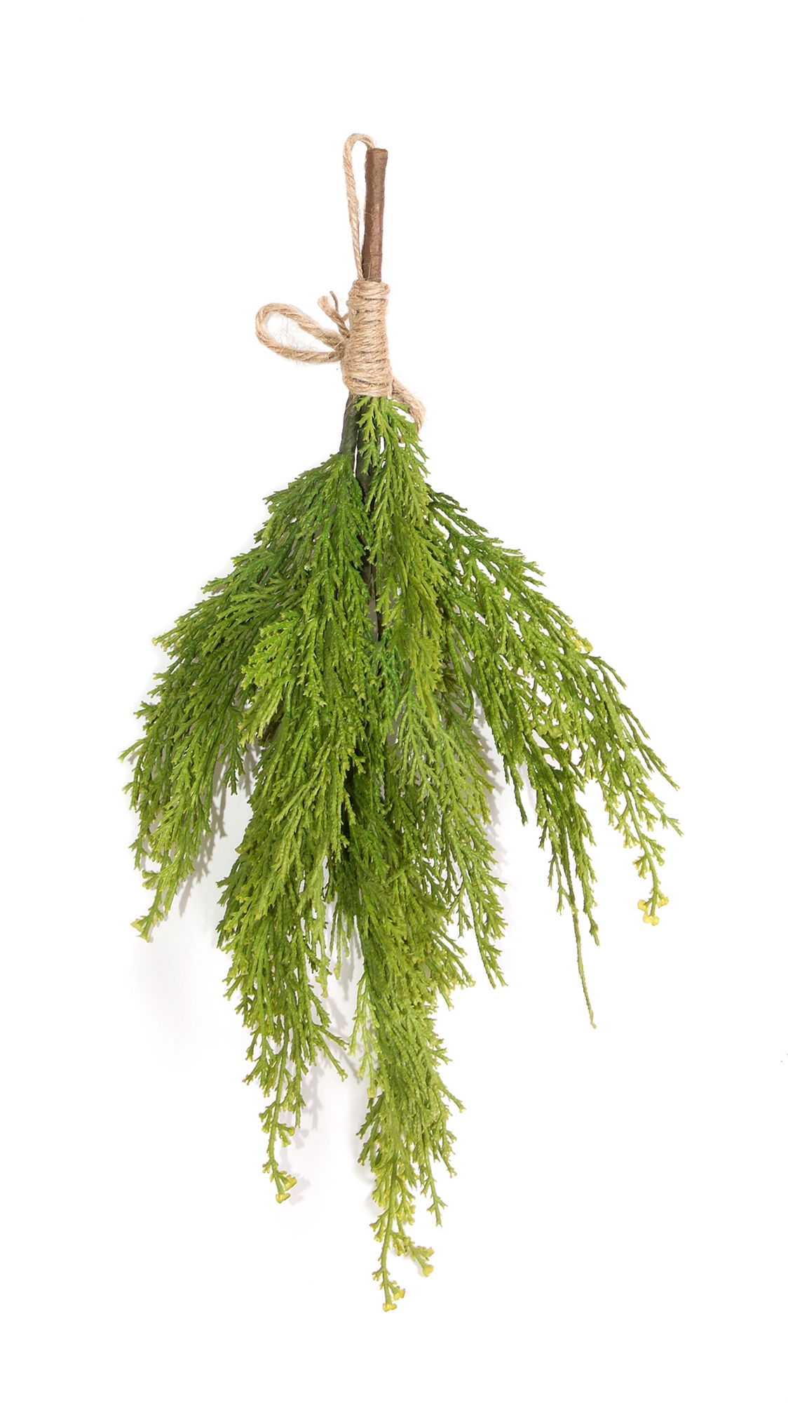 Pine Bundle (Set of 12) 16