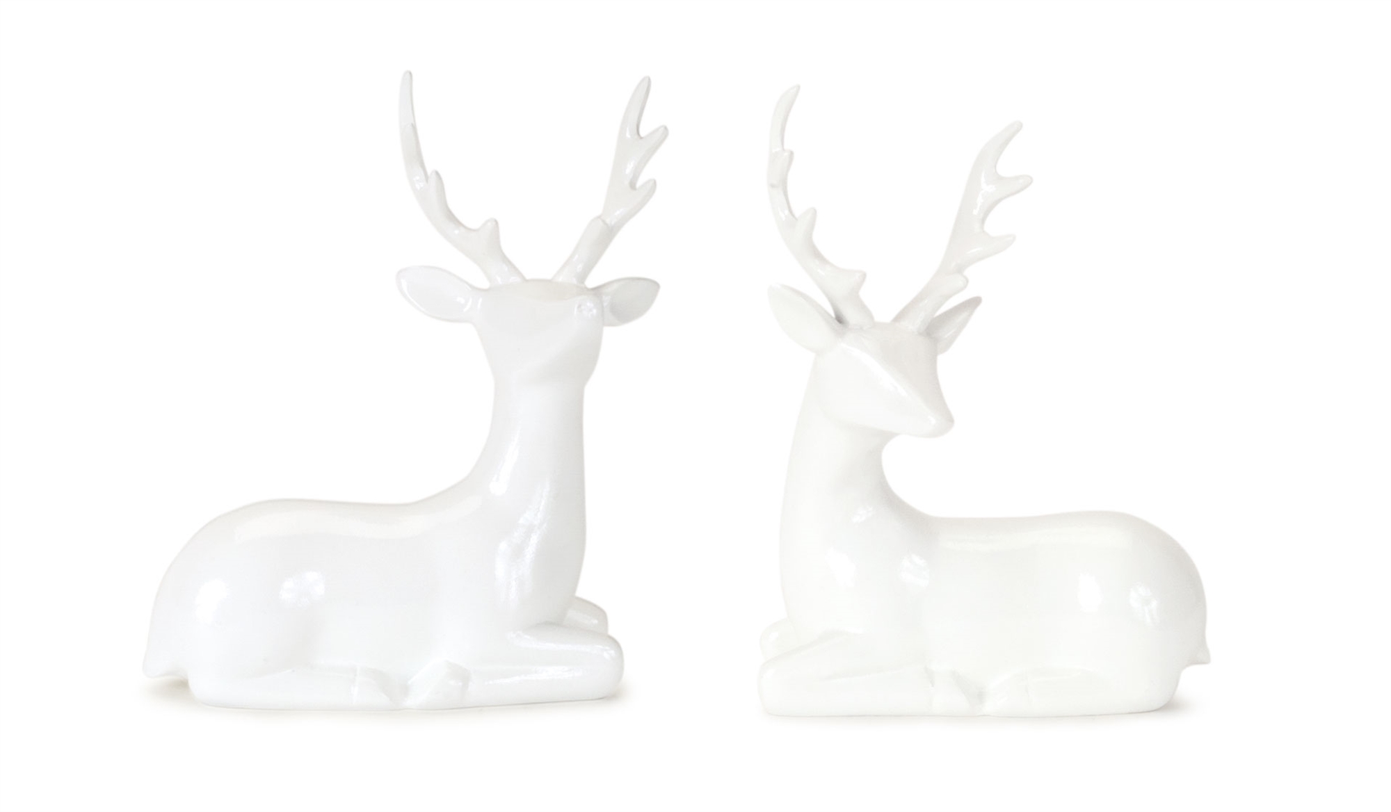Deer (Set of 12) 6