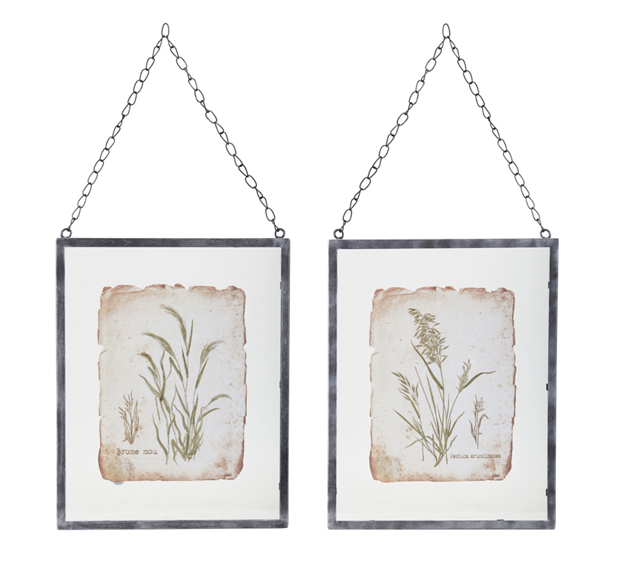 Grass Frame (Set of 2) 12.5