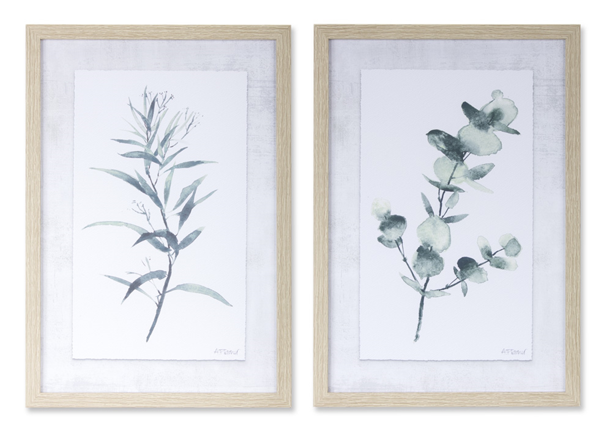 Eucalyptus Print (Set of 2) 12.75