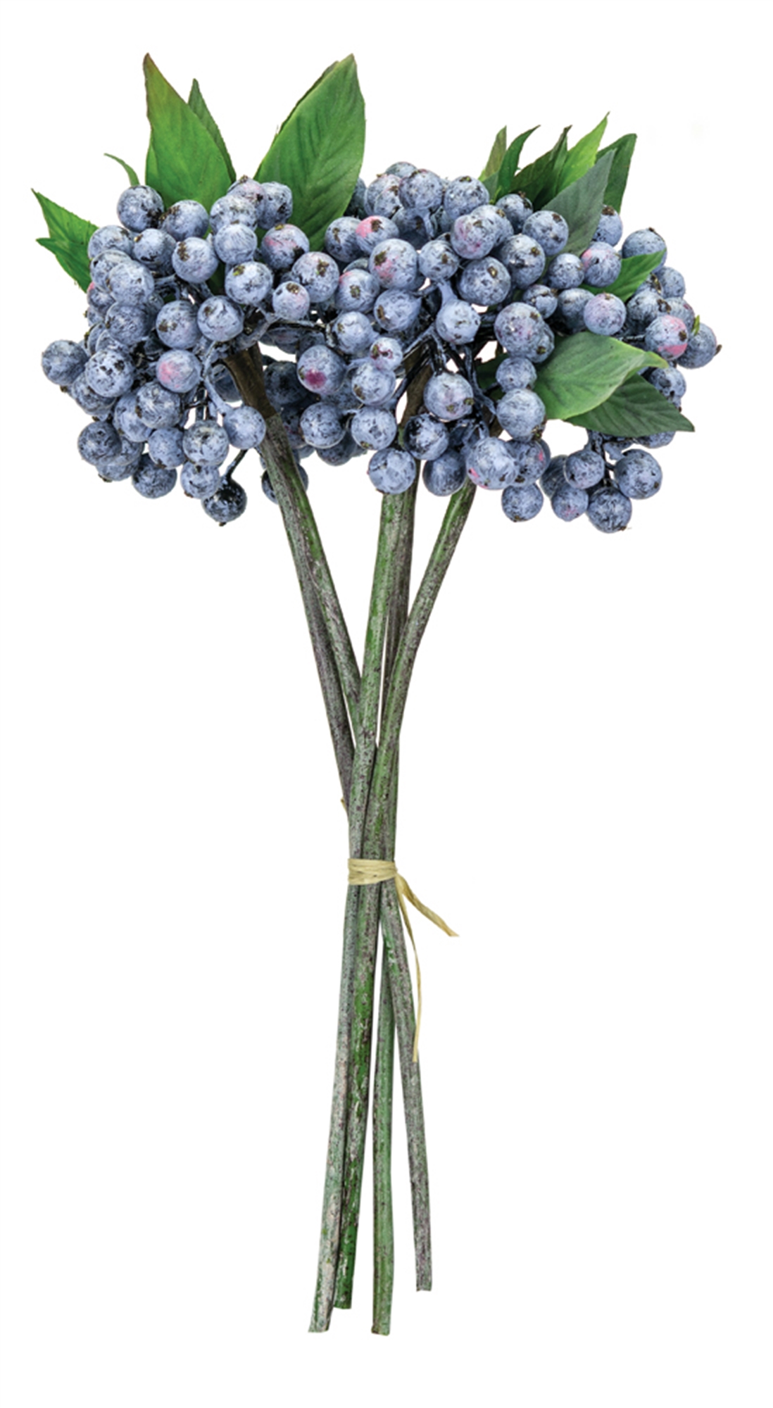 Berry Bundle (Set of 12) 12