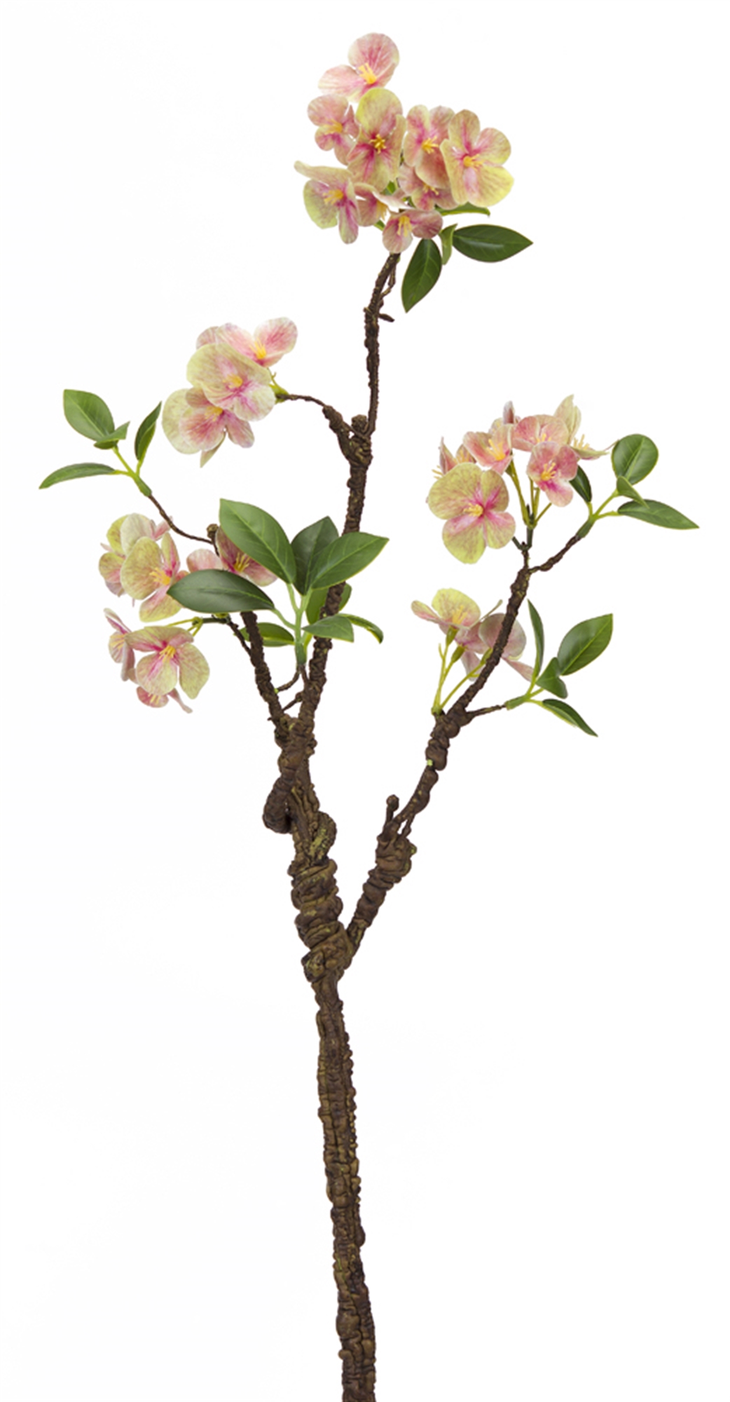 Blooming Branch (Set of 12) 30