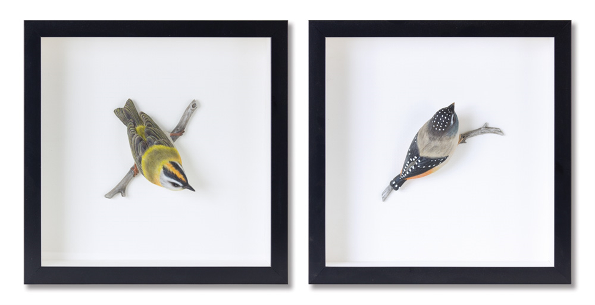 Bird Shadow Box (Set of 2) 12