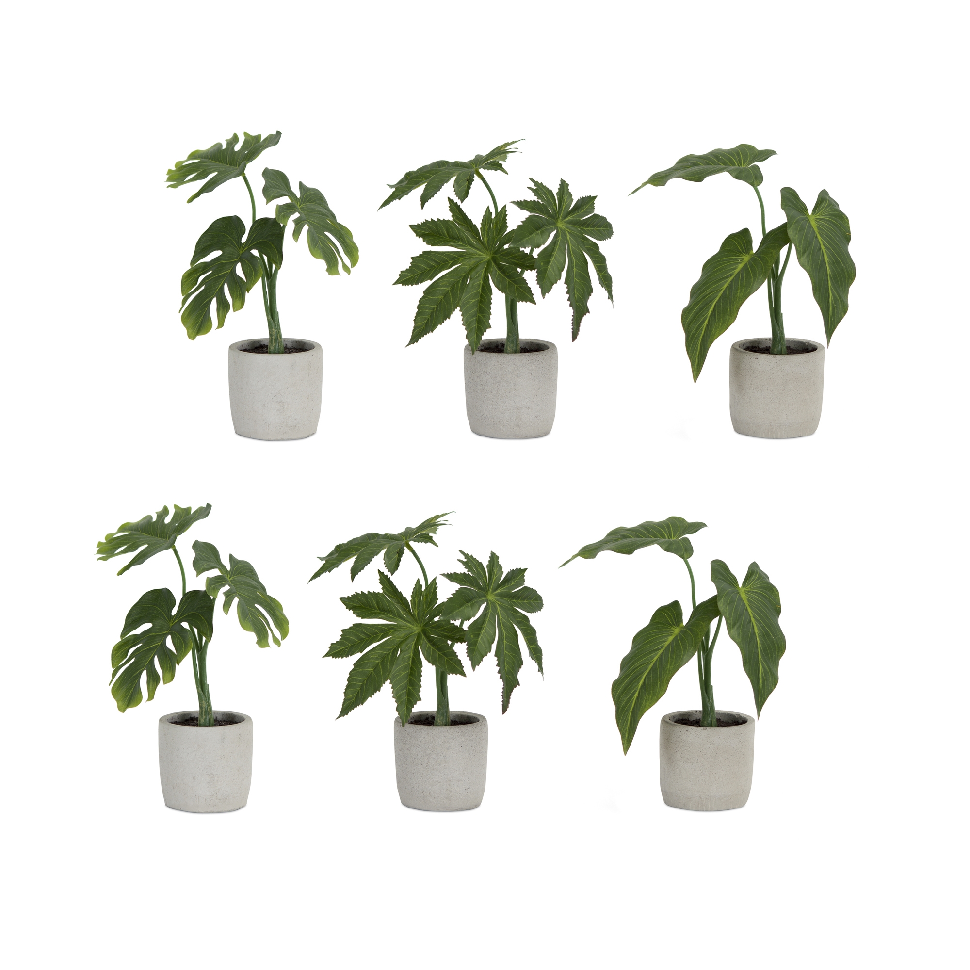 Potted Foliage (Set of 6) 10