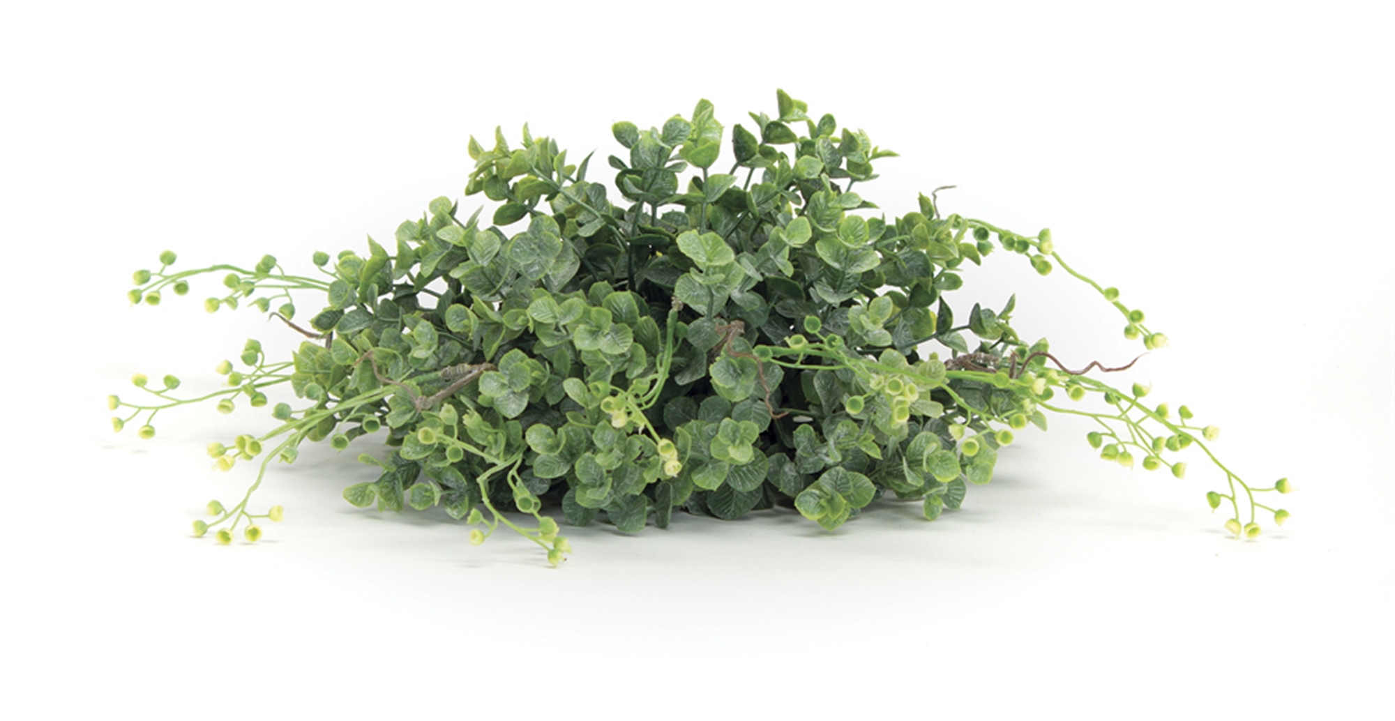 Boxwood Half Orb (Set of 6) 10