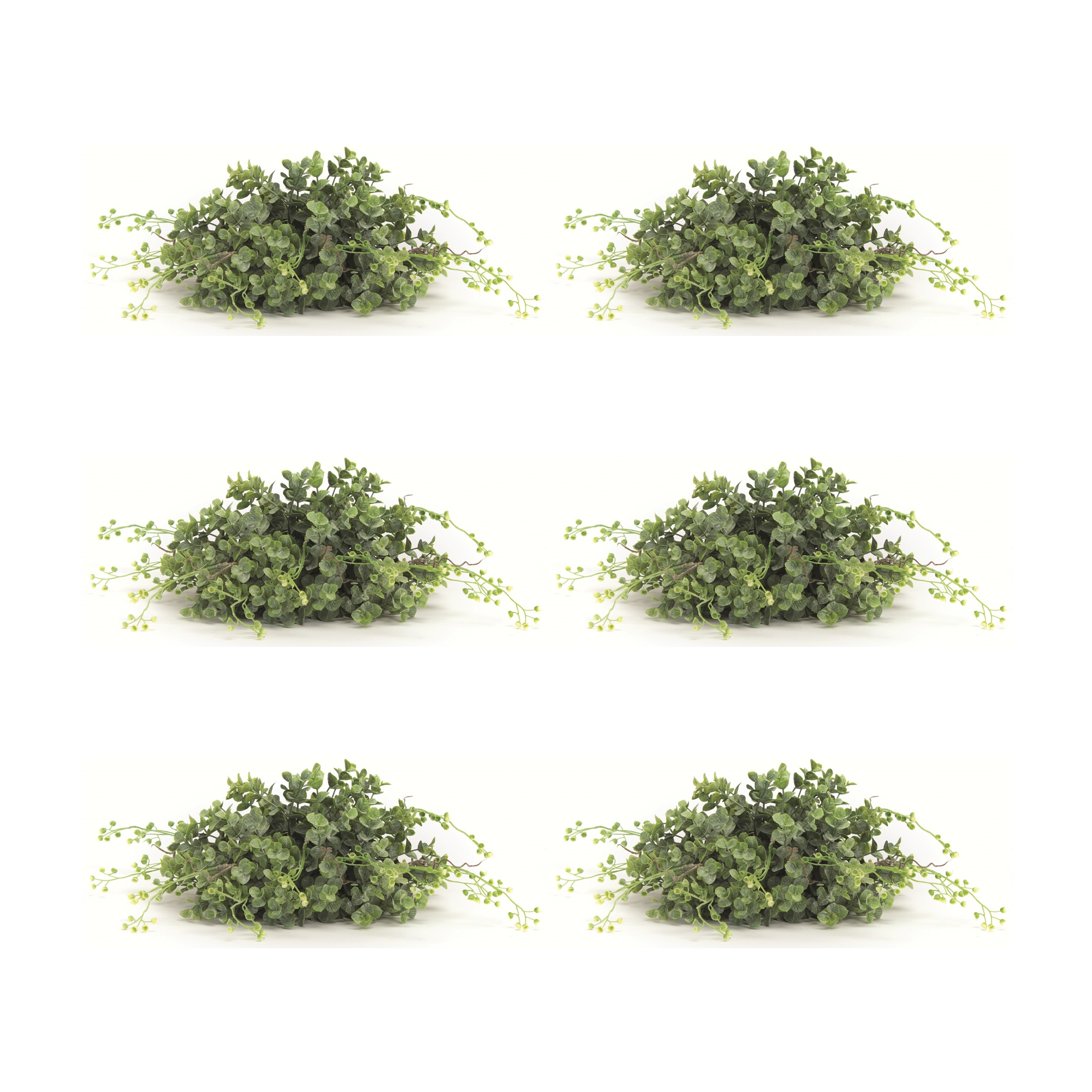 Boxwood Half Orb (Set of 6) 10