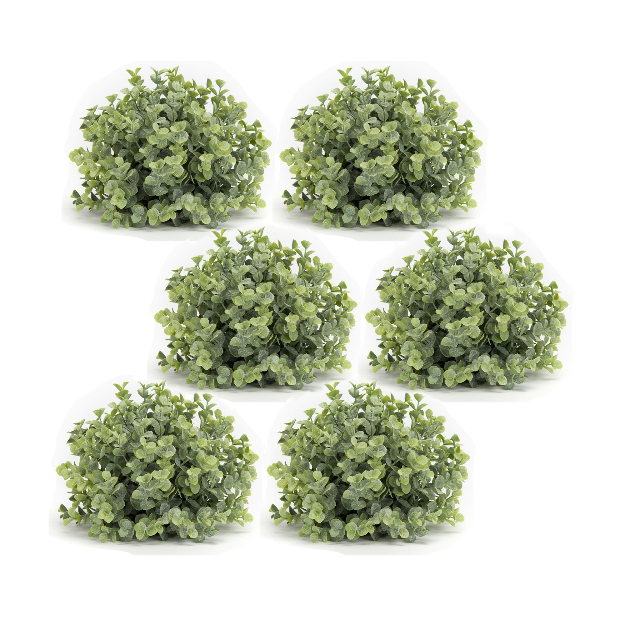 Boxwood Half Orb (Set of 6) 7