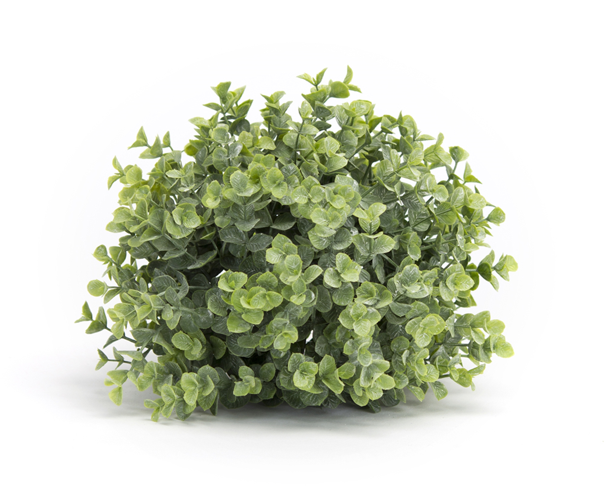 Boxwood Half Orb (Set of 6) 7