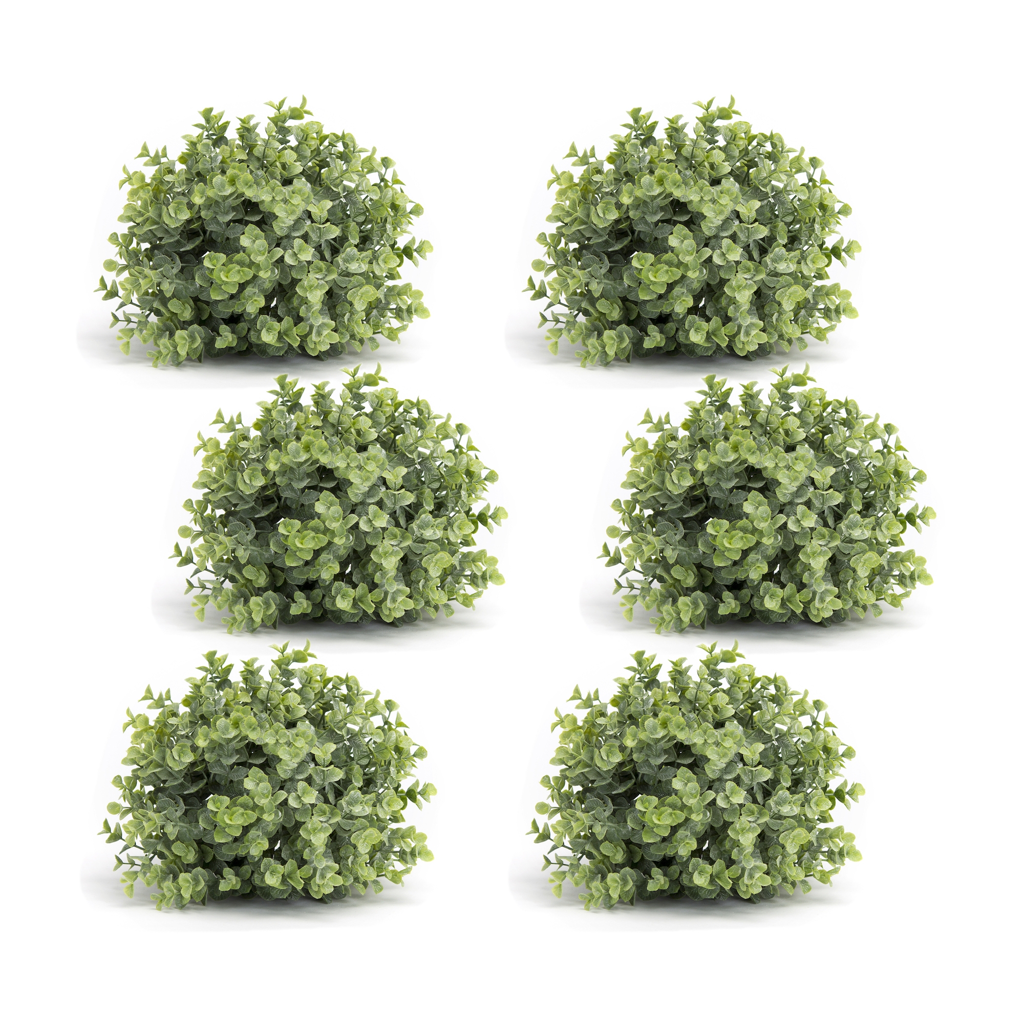 Boxwood Half Orb (Set of 6) 7