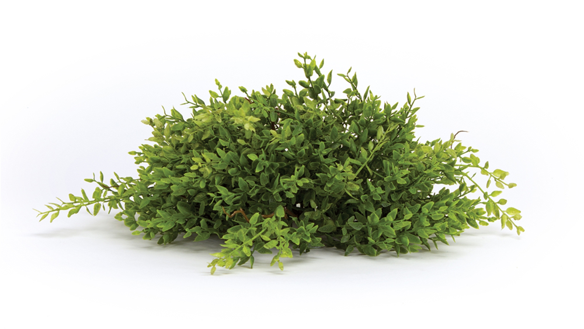 Mini Leaf Half Orb (Set of 6) 14