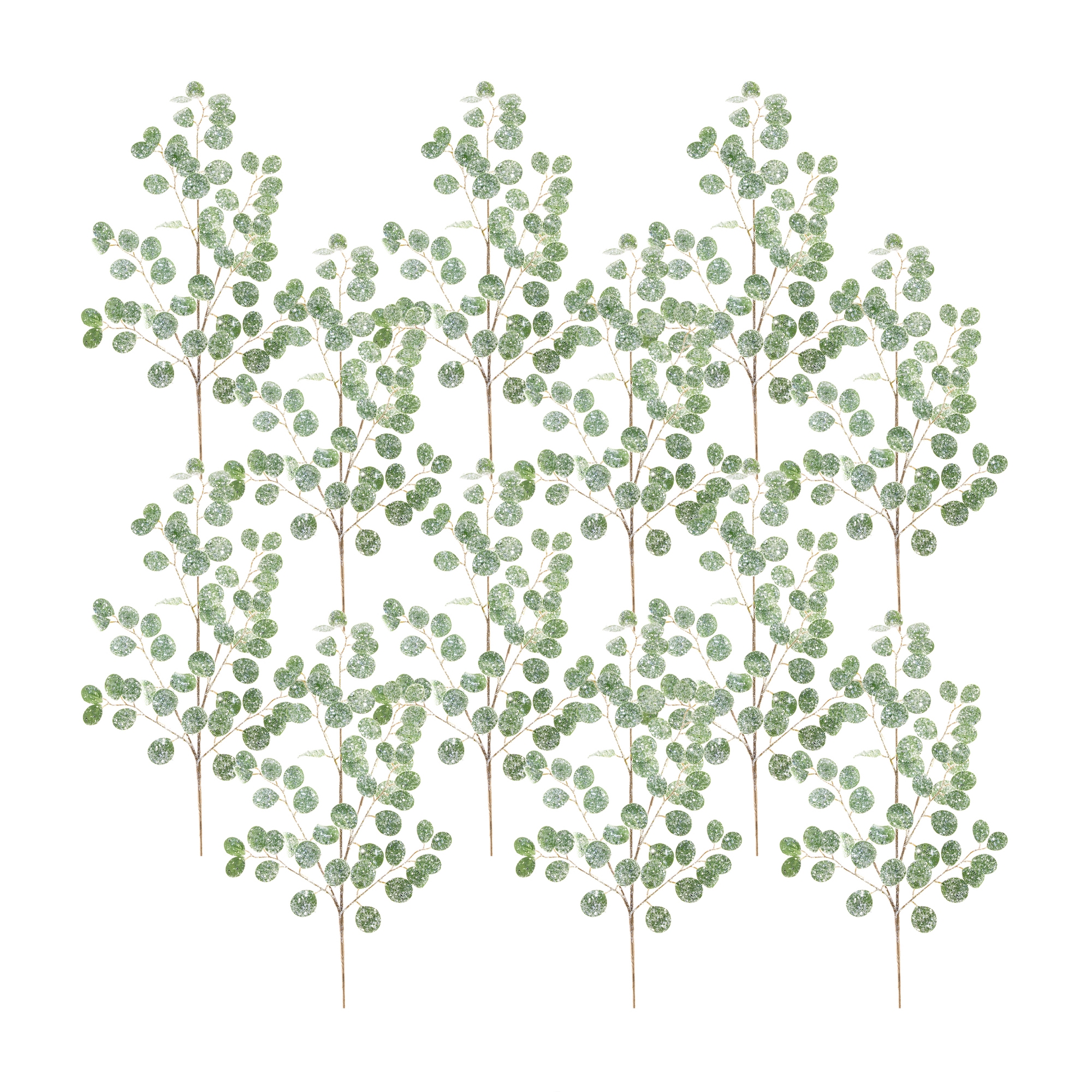 Silver Dollar Spray 32