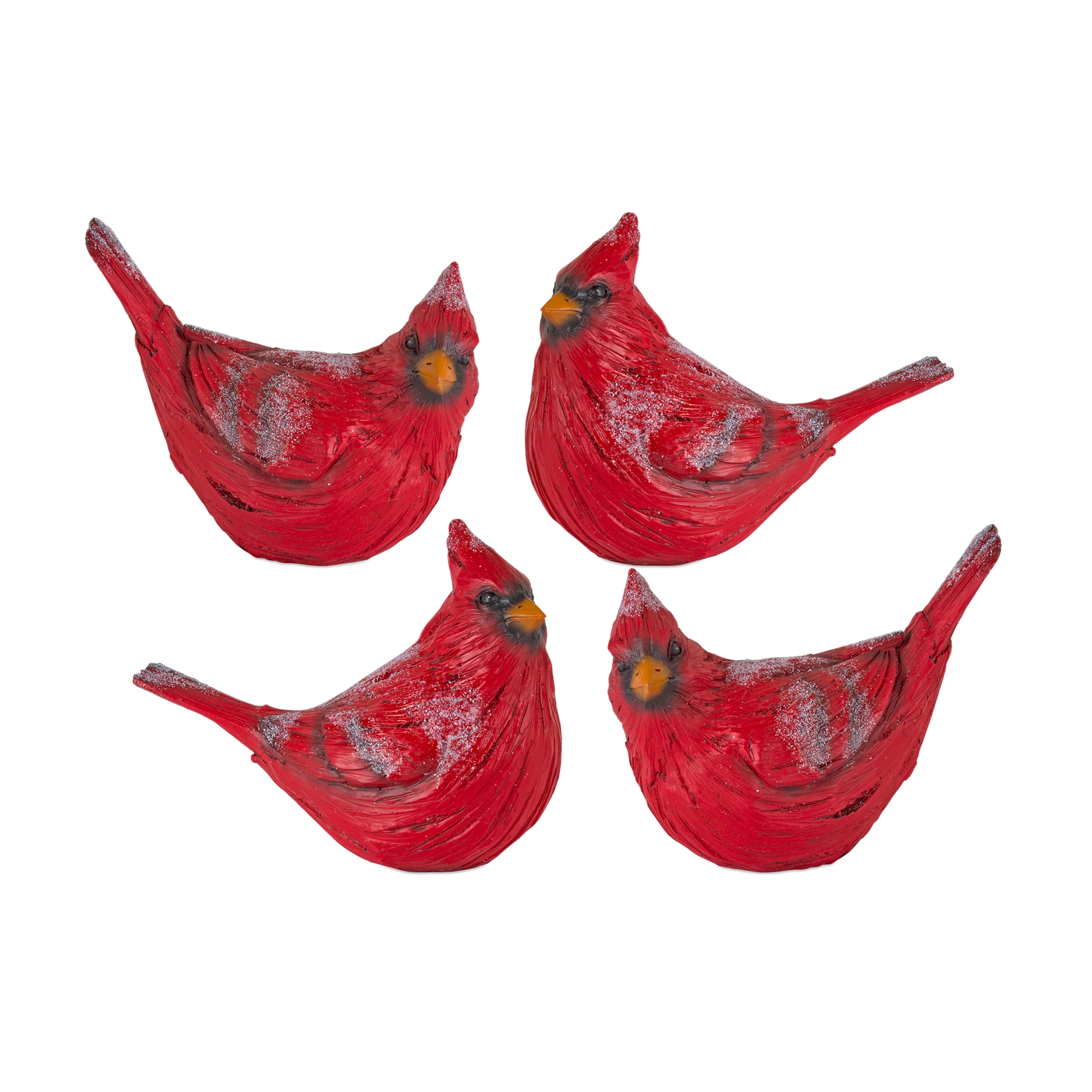 Cardinal (Set of 4) 6