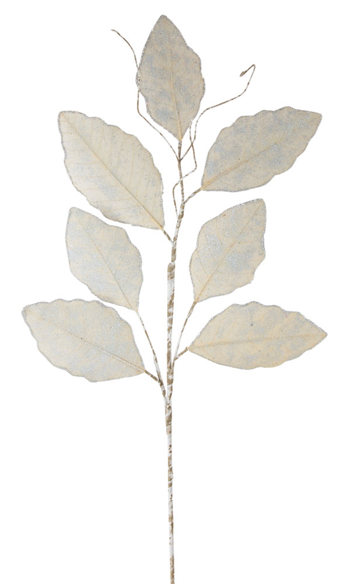 Magnolia Leaf Spray 31.5