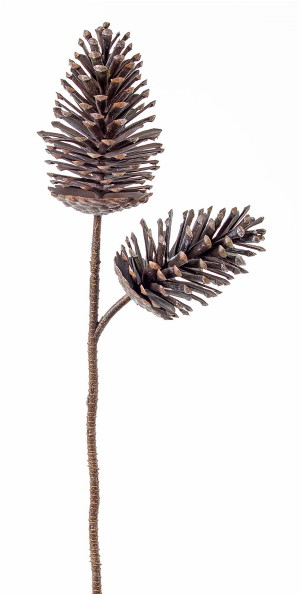 Pine Cone Spray 28