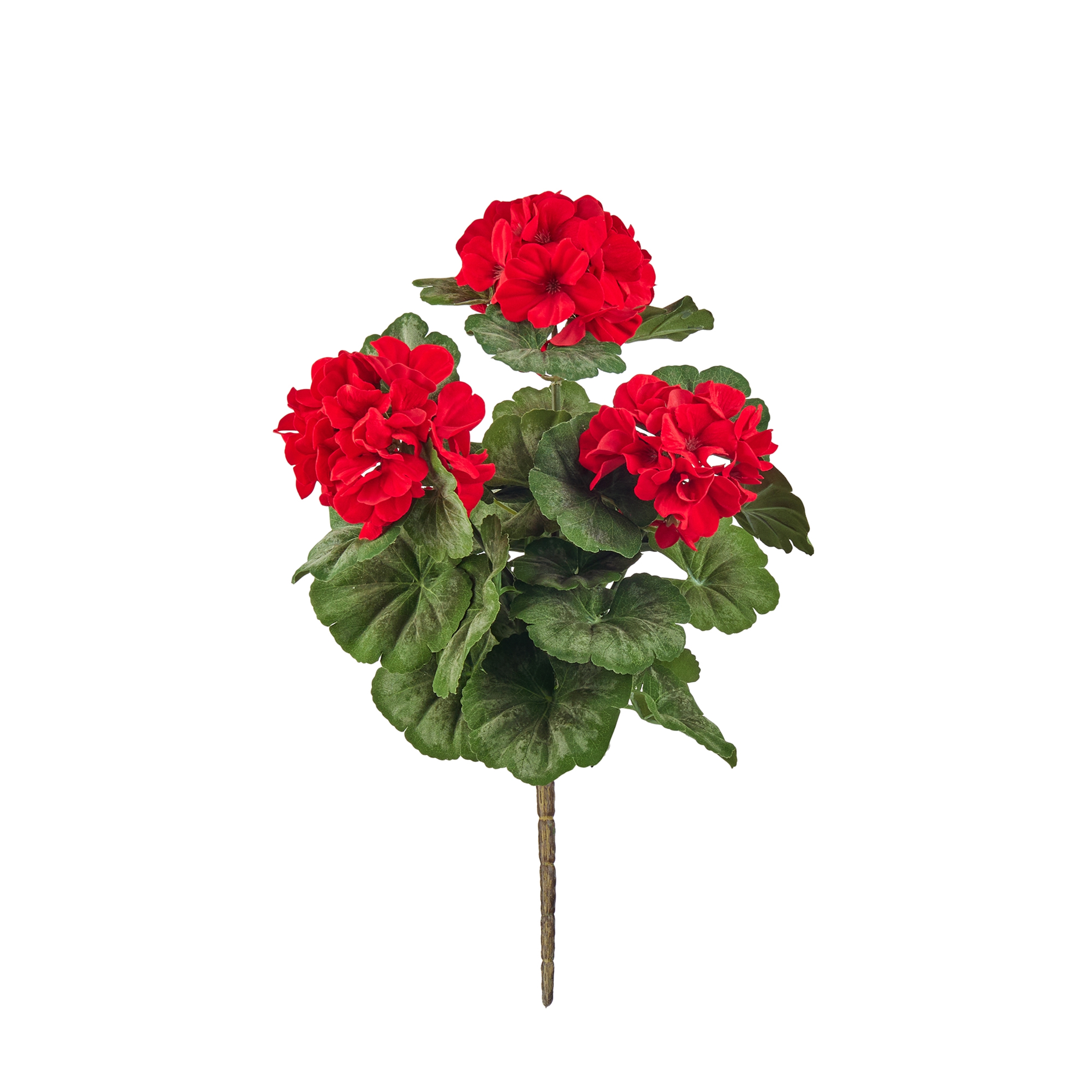 Geranium Bush (Set of 2) 20.25