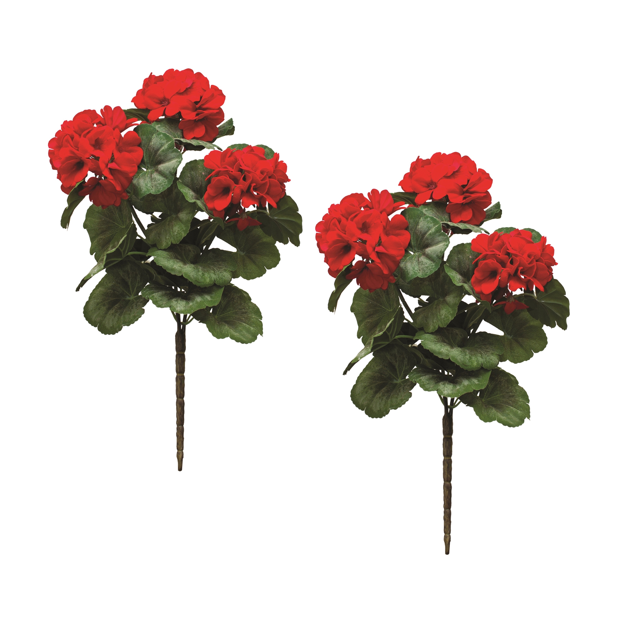 Geranium Bush (Set of 2) 20.25