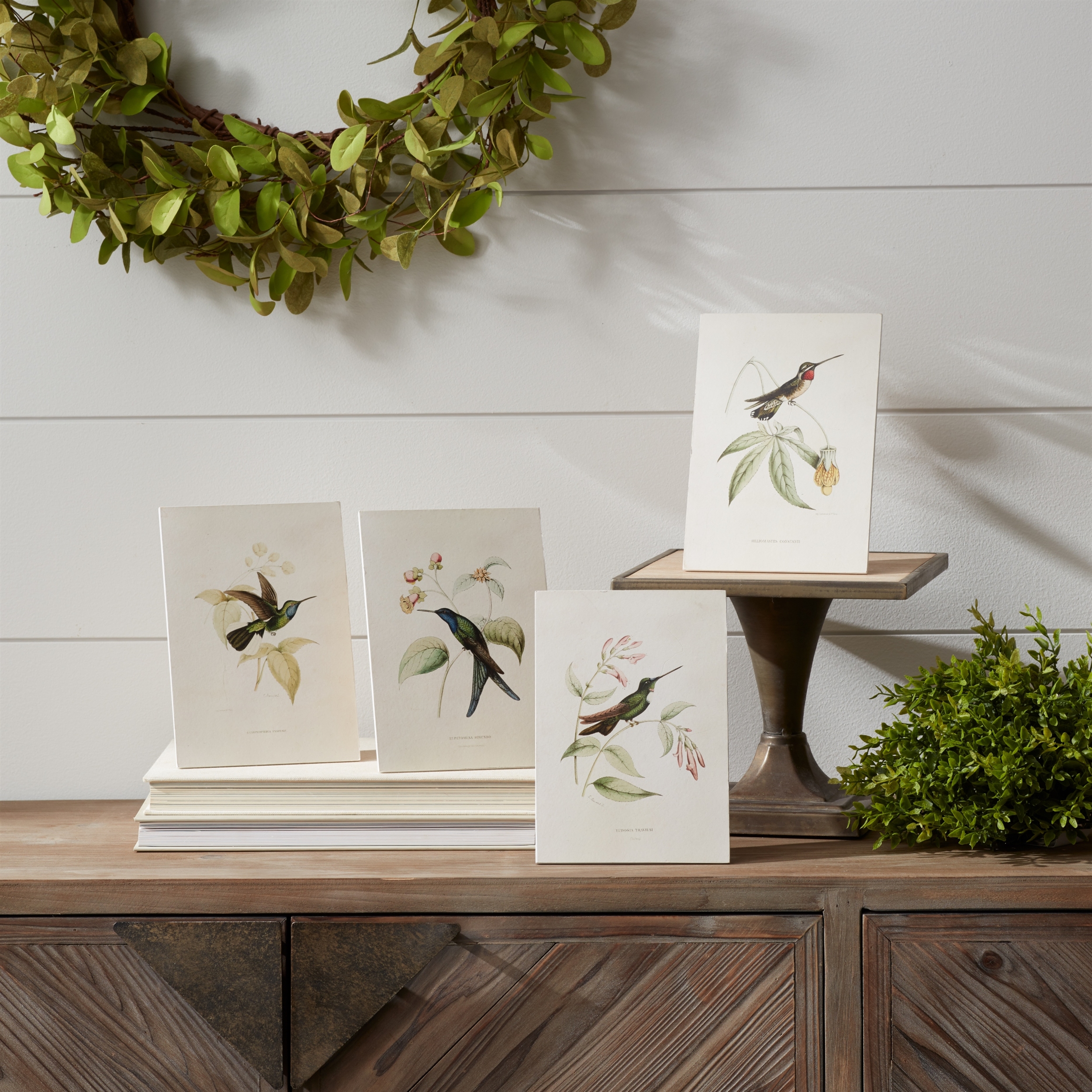 Hummingbird Print (Set of 4) 5.5