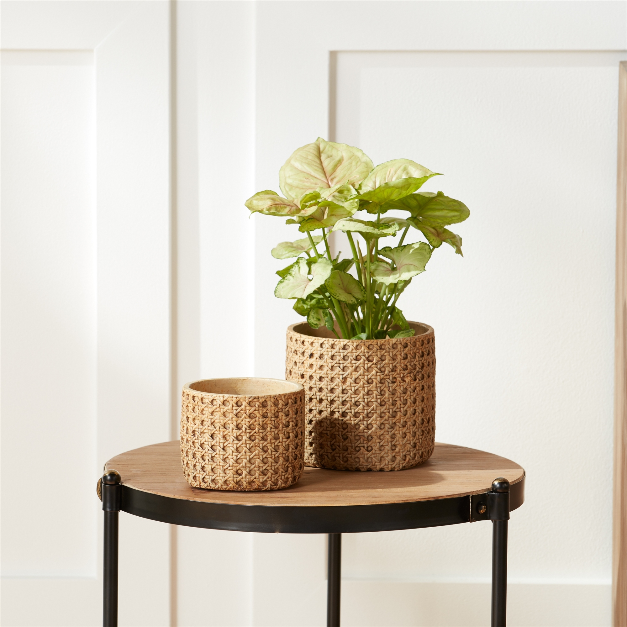 Planter (Set of 2) 5.25