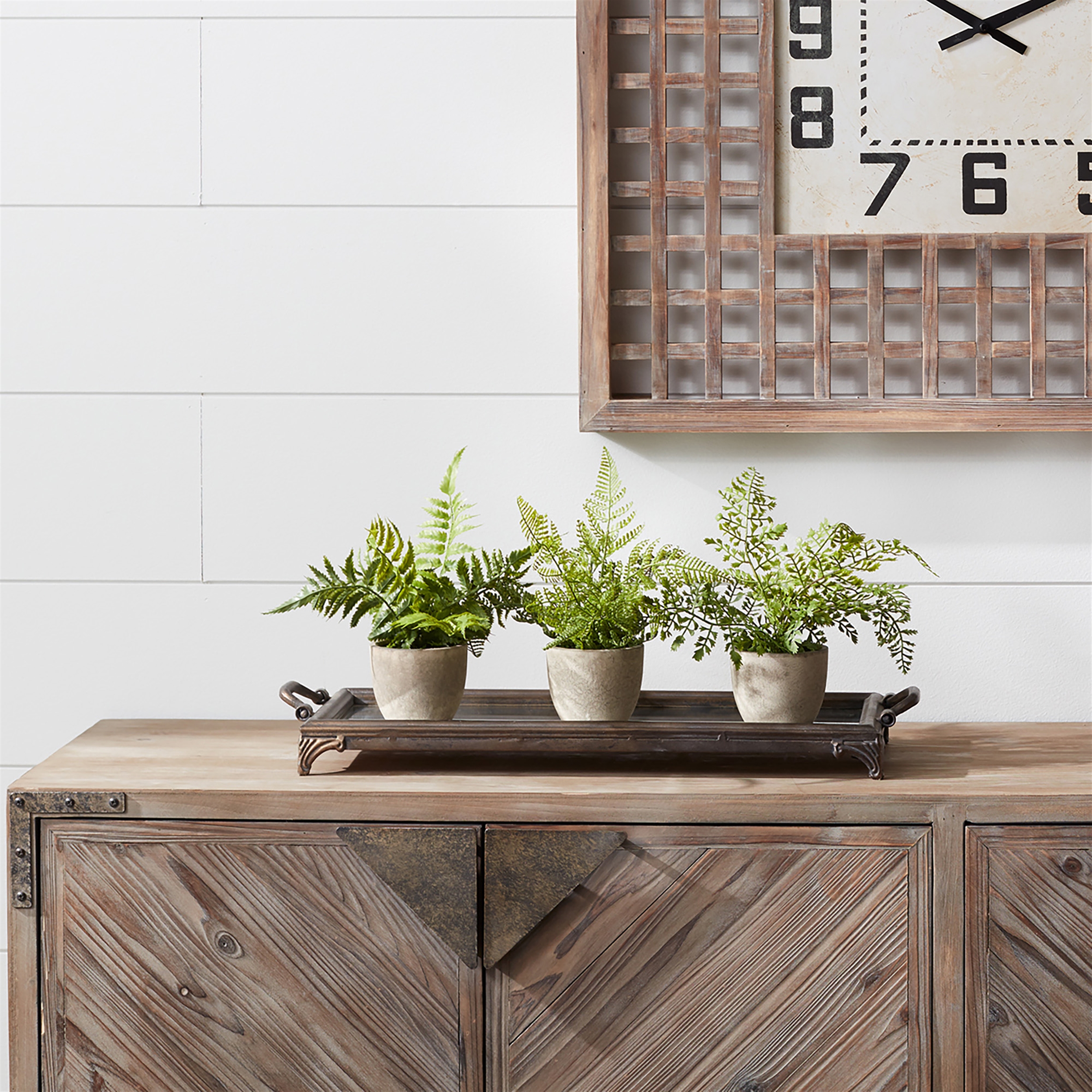 Potted Fern (Set of 3) 9.5