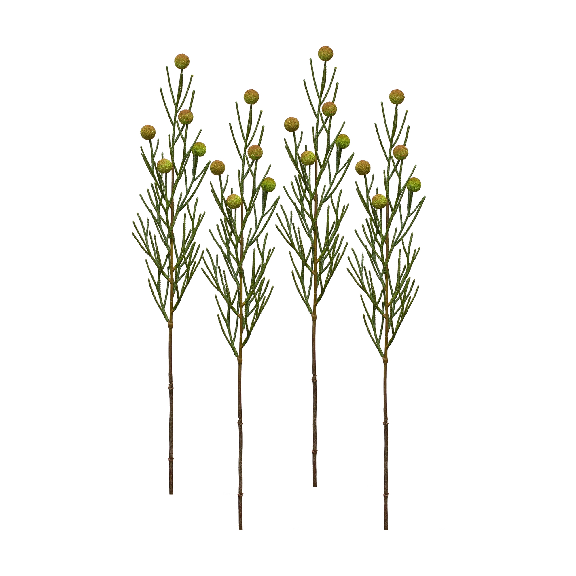 Brunia Ball Spray (Set of 4) 27.75