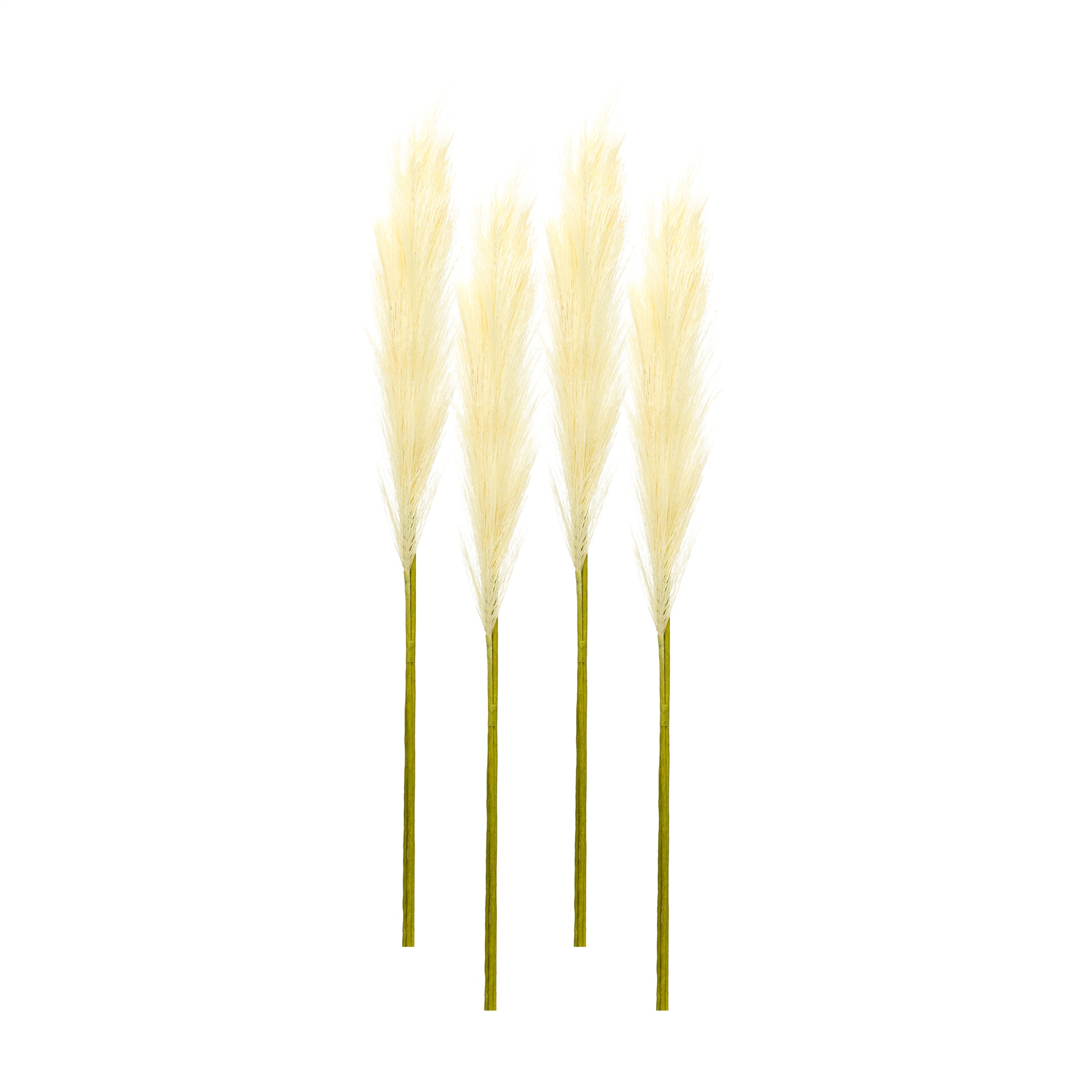 Pampas Spray (Set of 4) 30