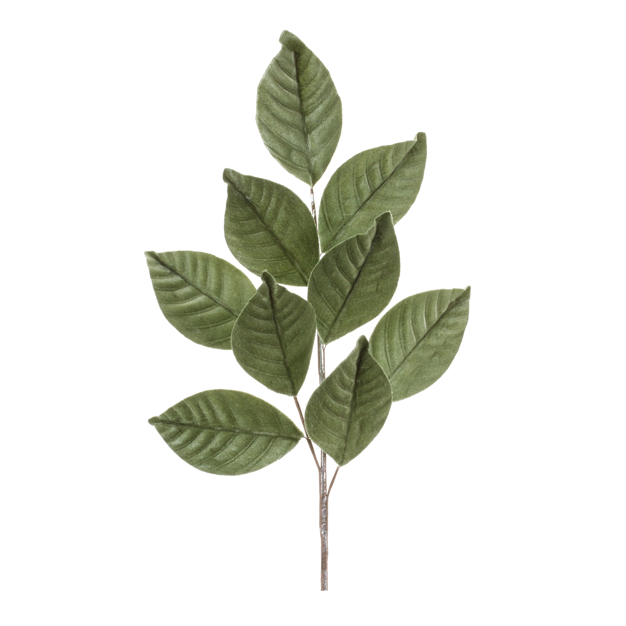 Magnolia Leaf Spray (Set of 6) 27.5