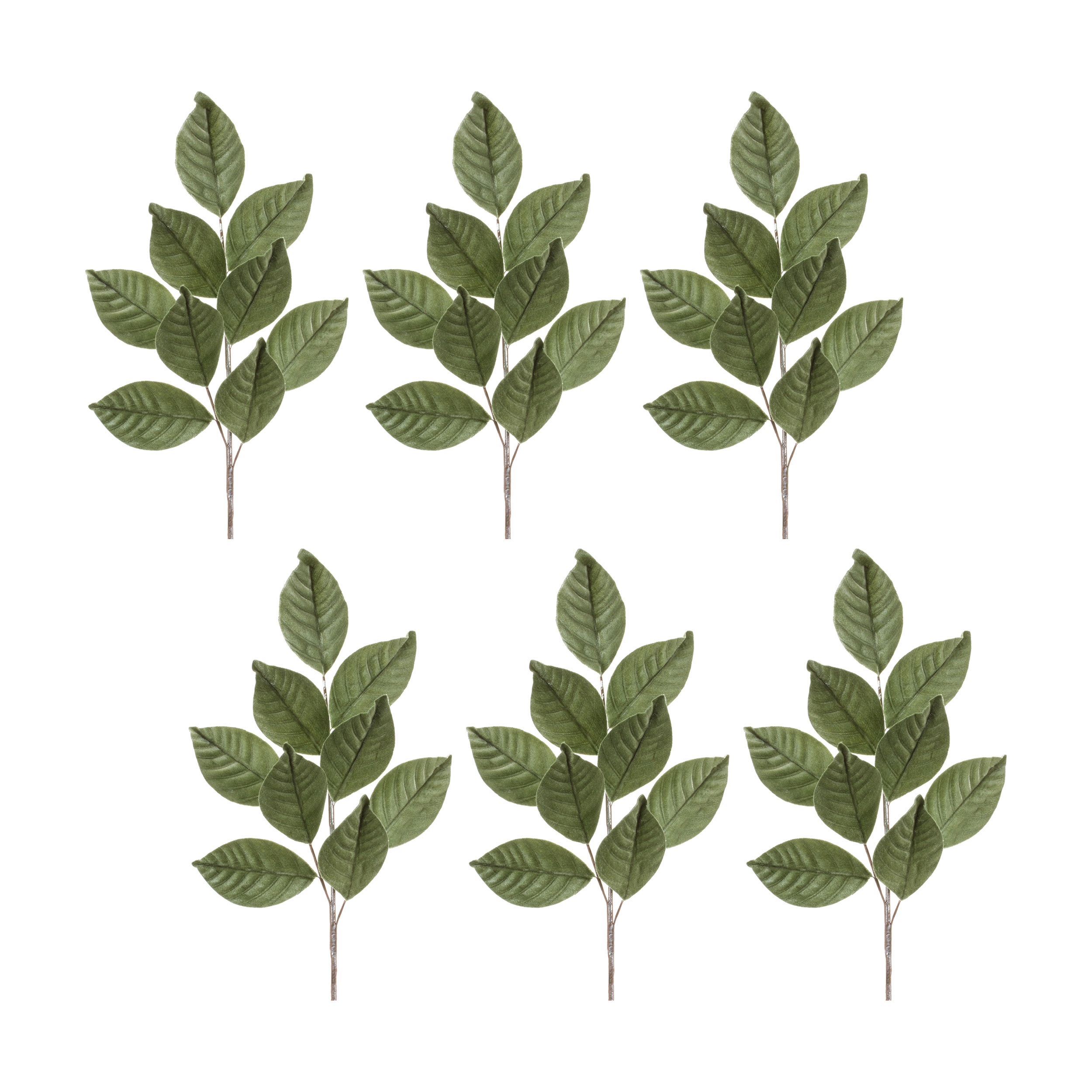 Magnolia Leaf Spray (Set of 6) 27.5