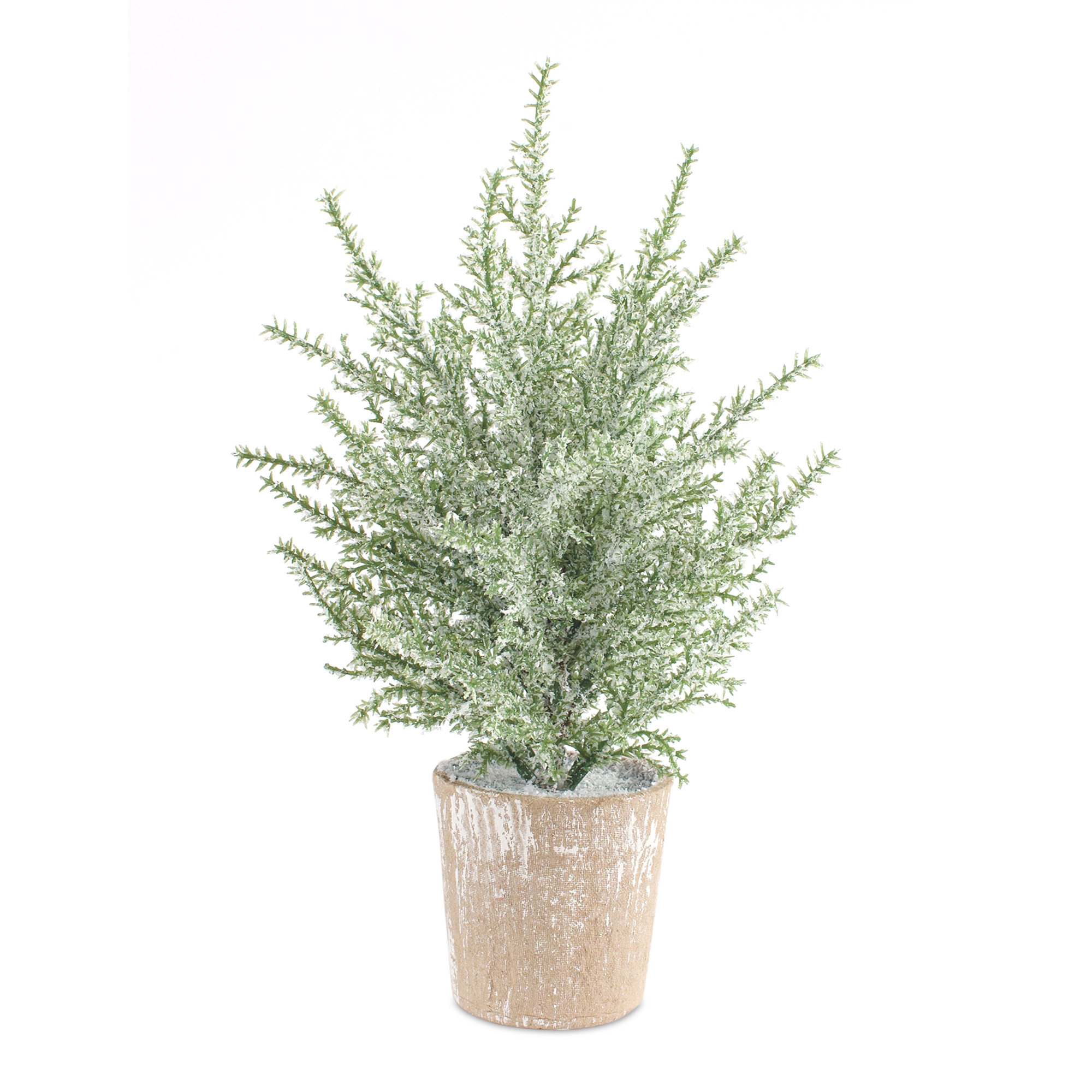 Potted Icy Pine Tree (Set of 6) 12